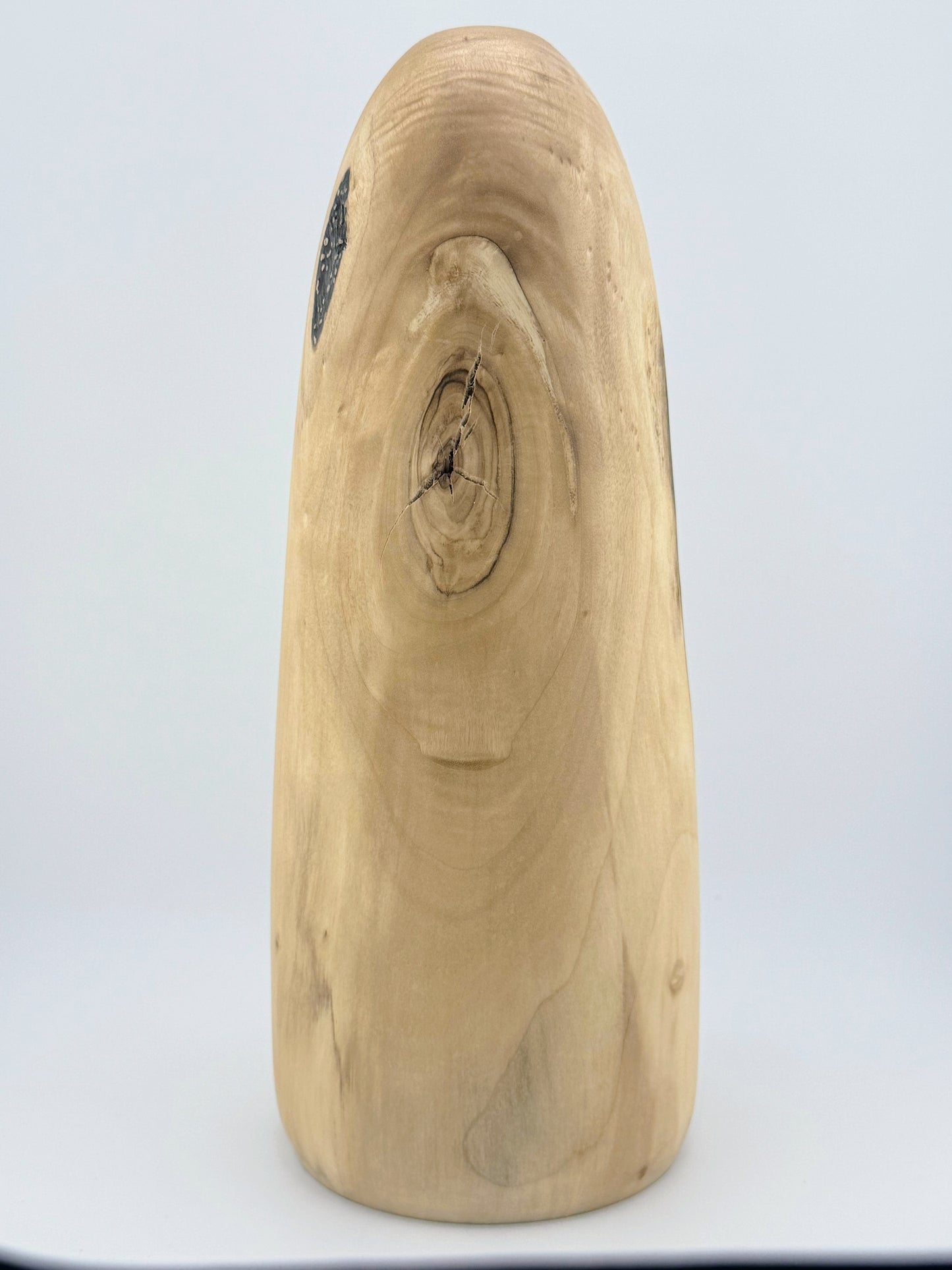 #13 10" Tall Cottonwood Vase