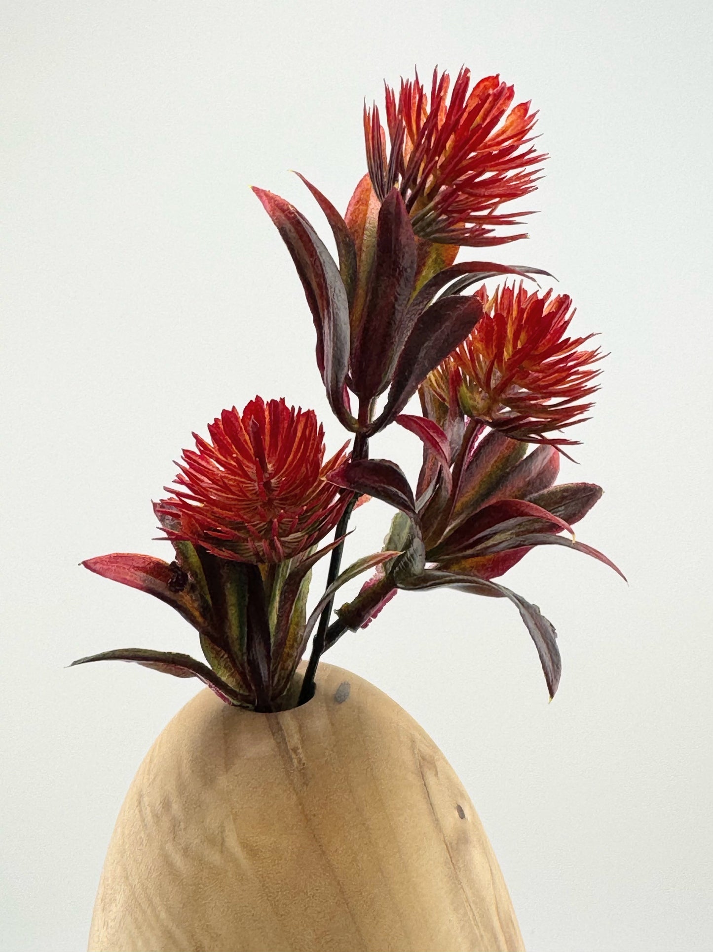#13 10" Tall Cottonwood Vase