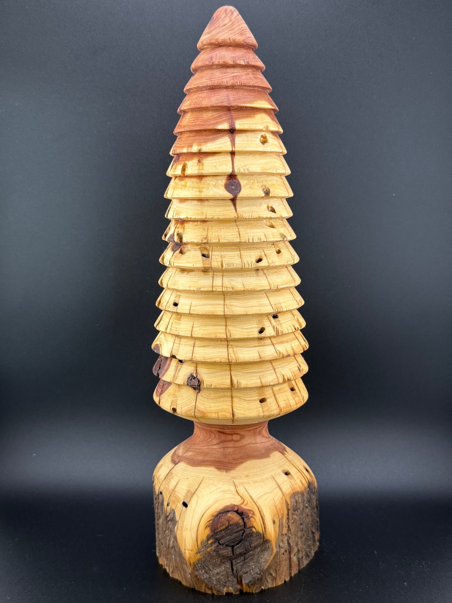#12 13" Tall Rustic Cedar Tree