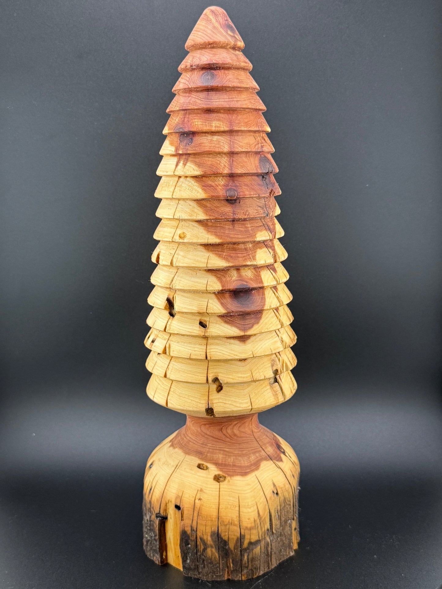 #12 13" Tall Rustic Cedar Tree