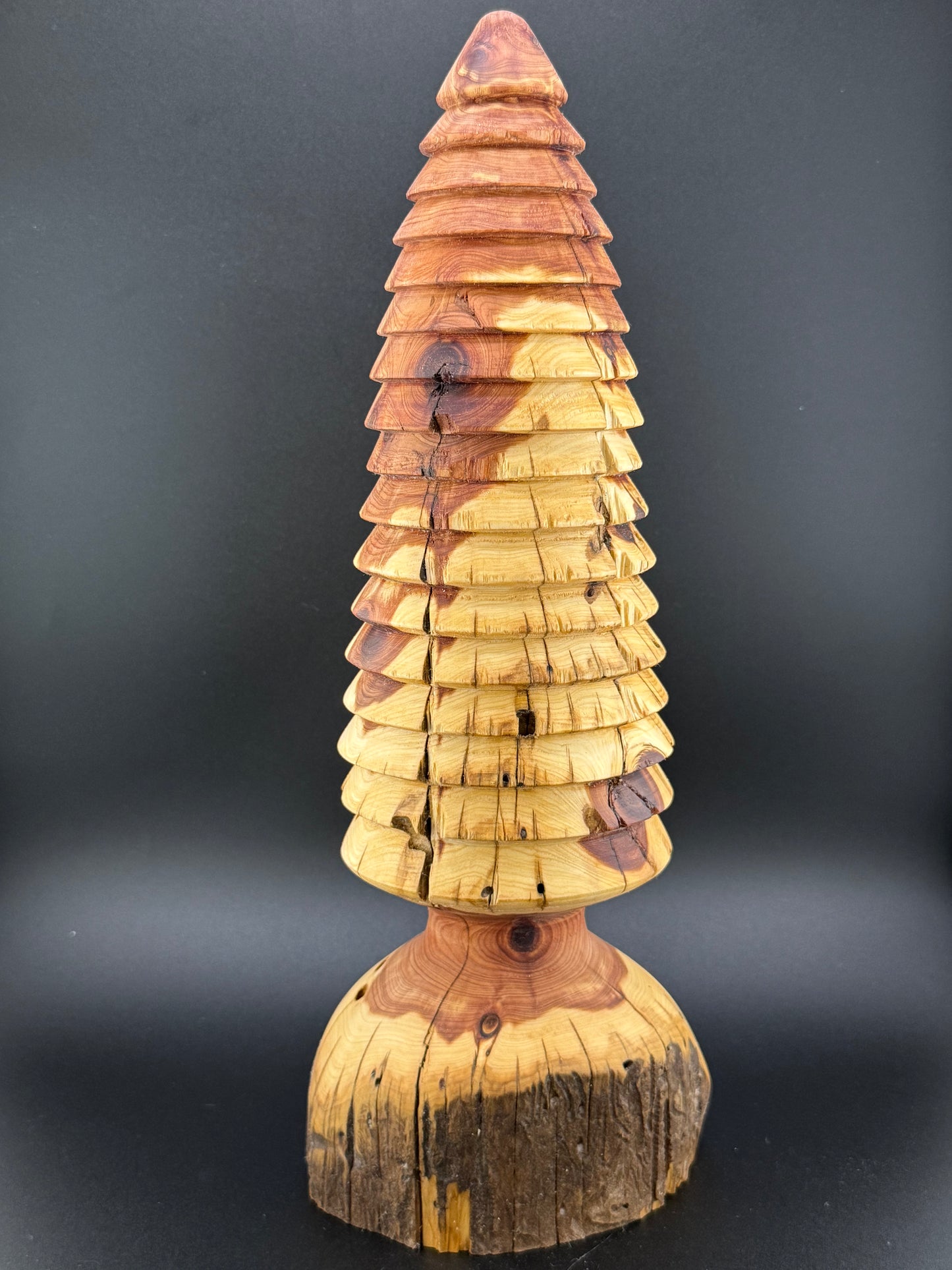#12 13" Tall Rustic Cedar Tree