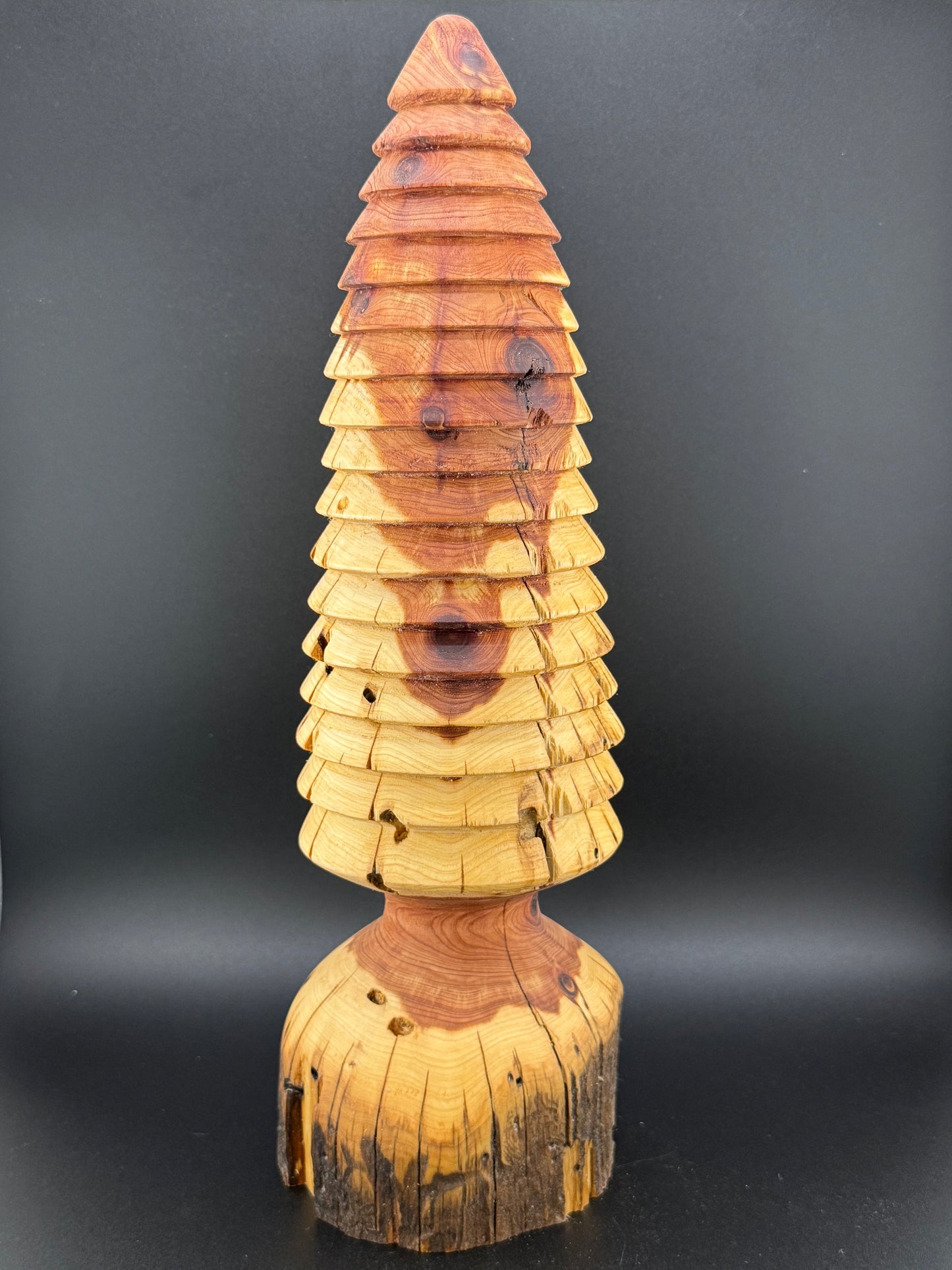 #12 13" Tall Rustic Cedar Tree