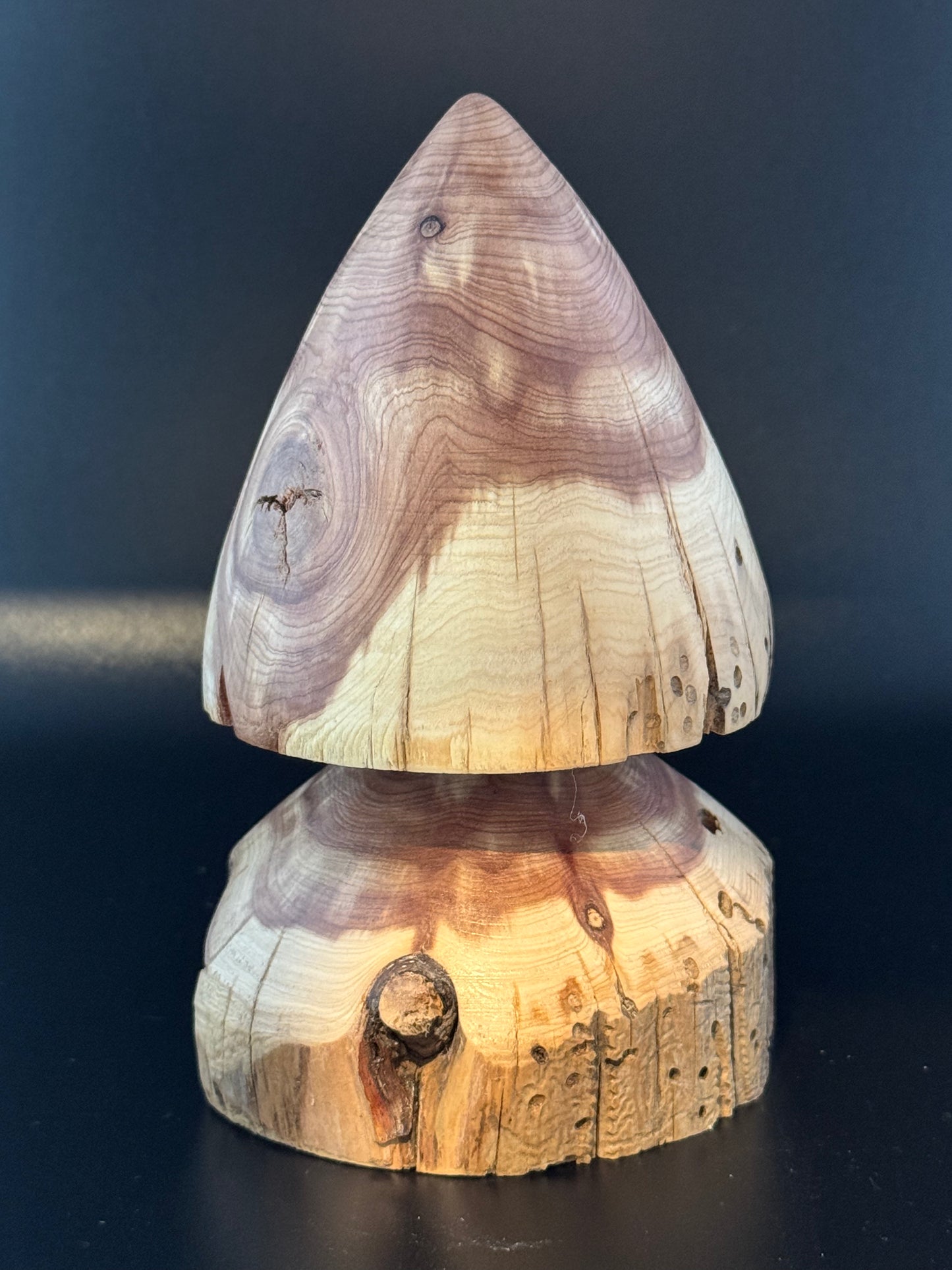 #14 5" Rustic Cedar Tree