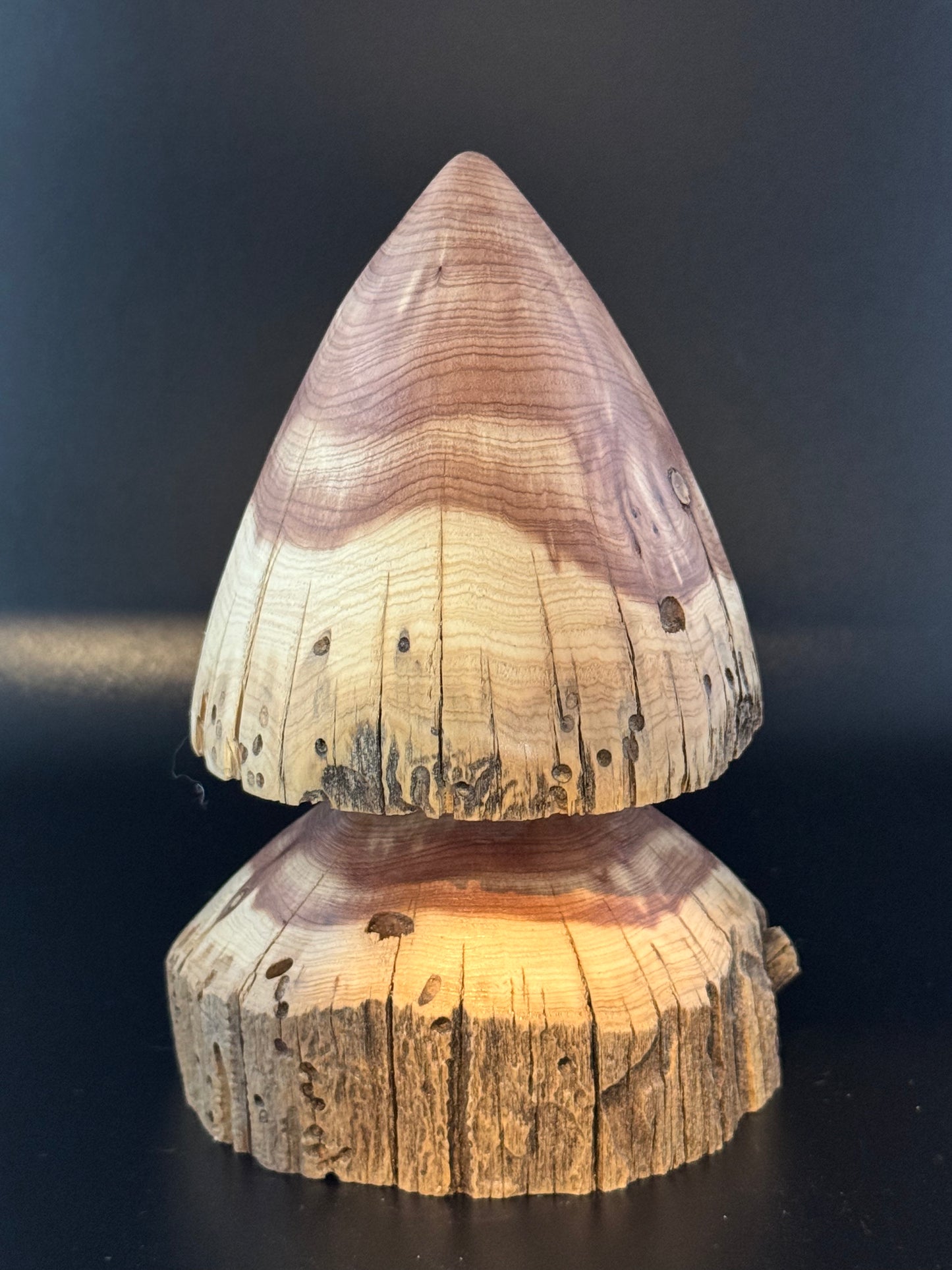#14 5" Rustic Cedar Tree