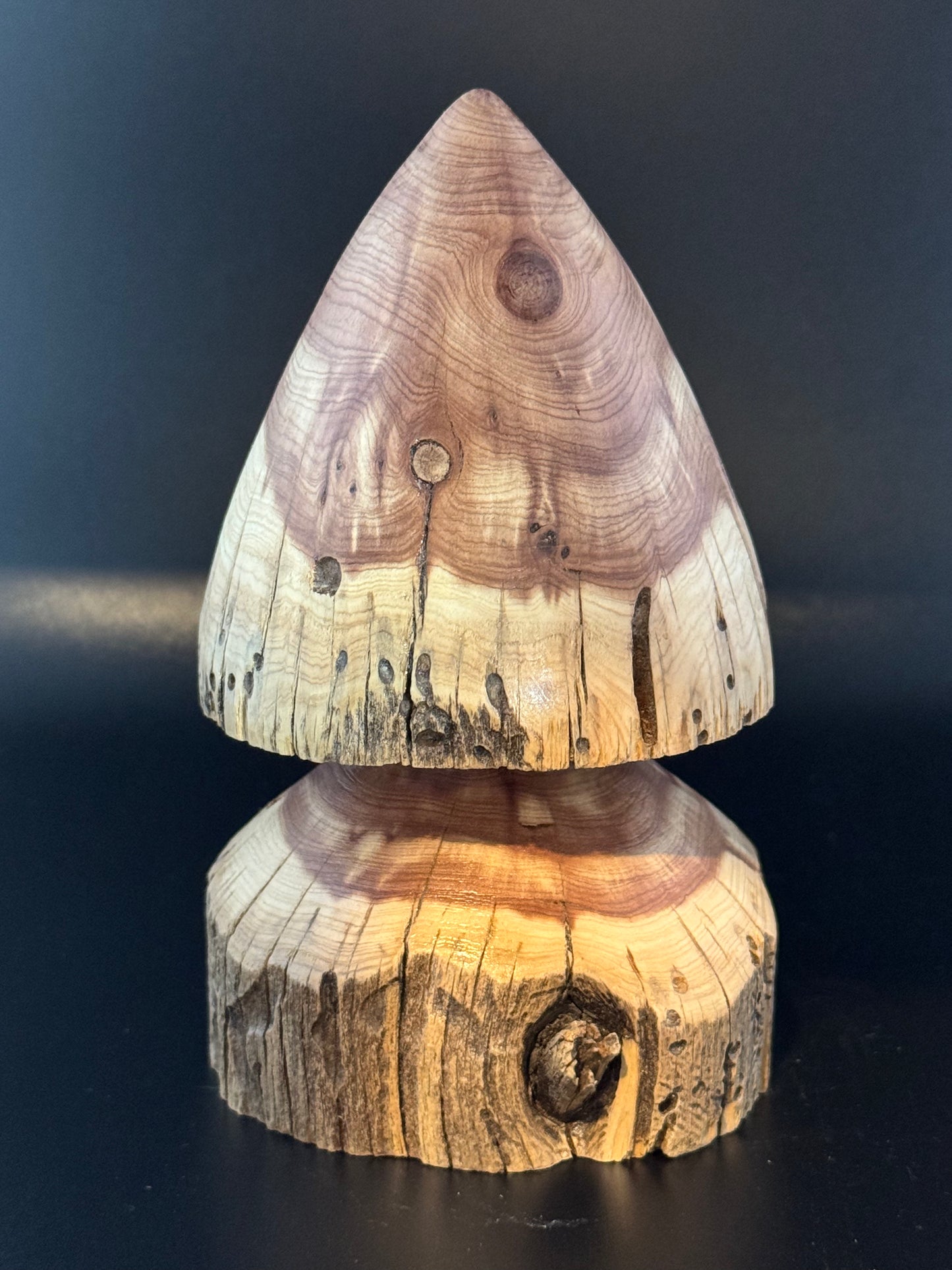 #14 5" Rustic Cedar Tree