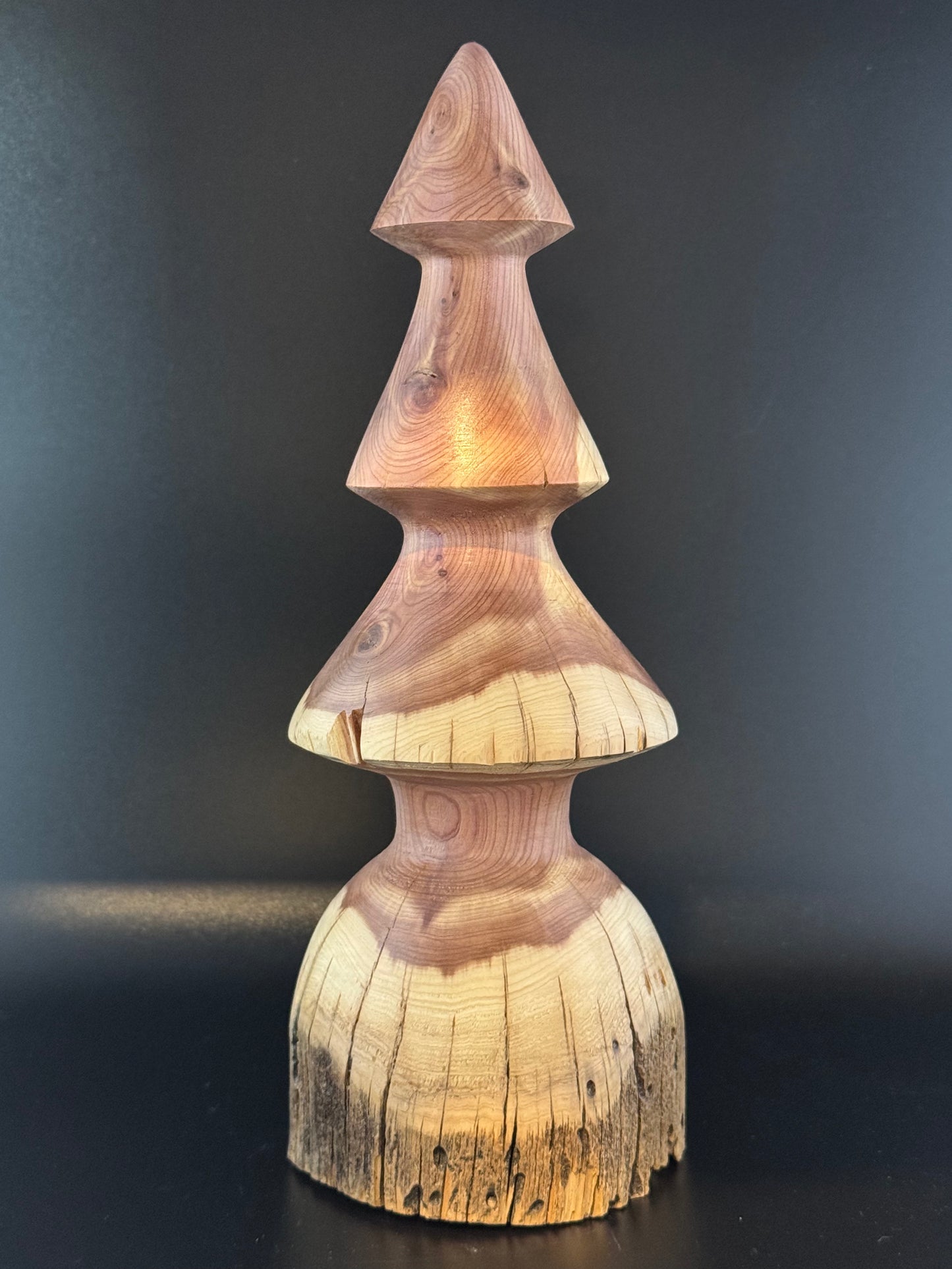 #15 9" Tall Rustic Cedar Tree