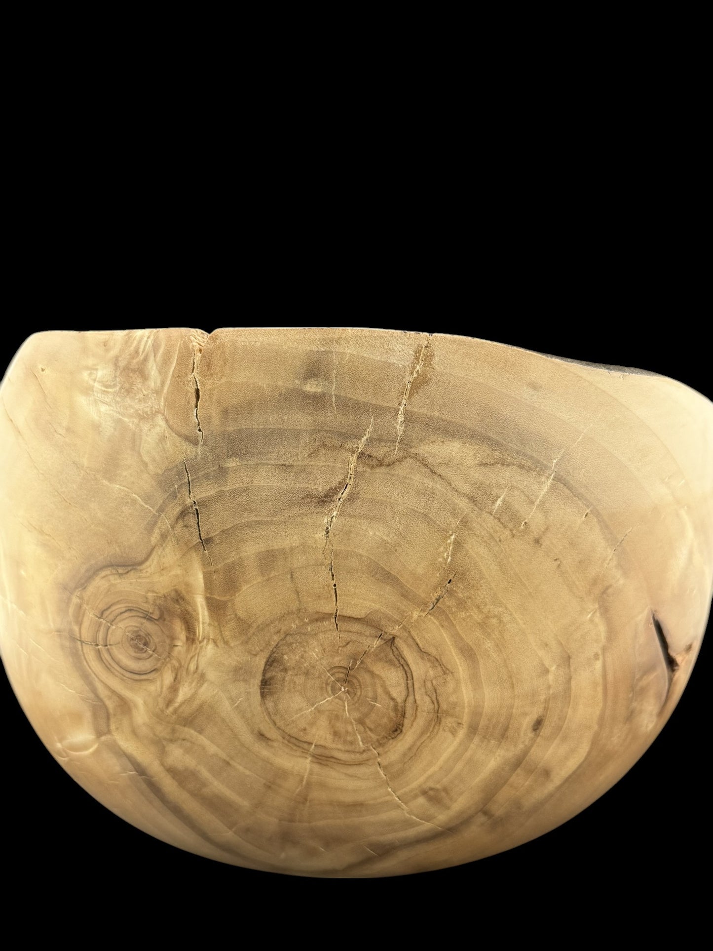 #25 Large cottonwood bowl with burned rim