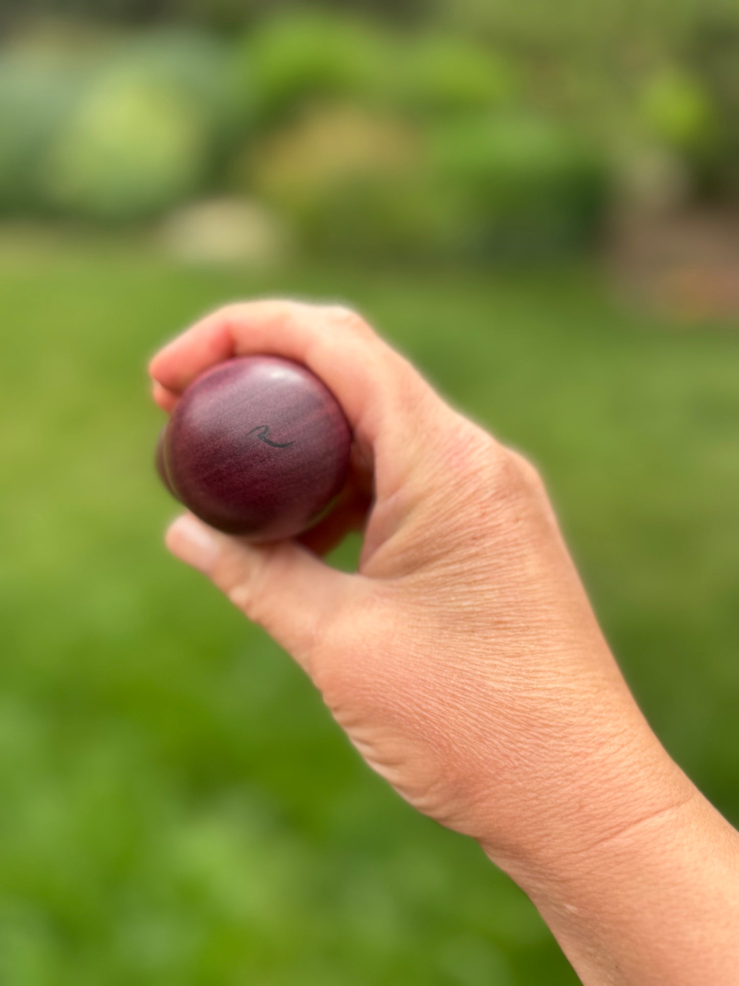 #45 Curly Purpleheart Bottle Opener