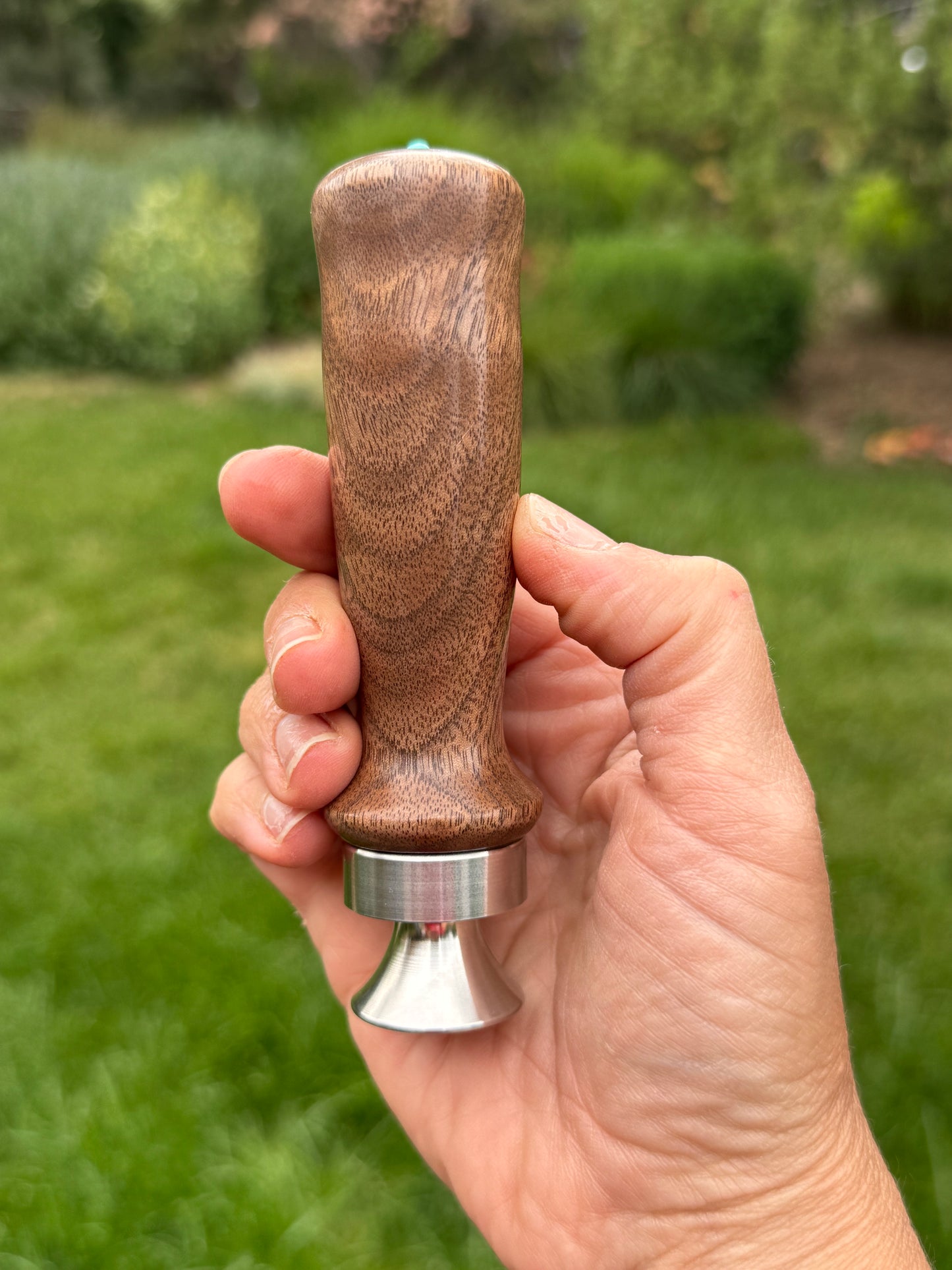 #102 - Curly Walnut Bottle Opener with Fox Turquoise Cabochon