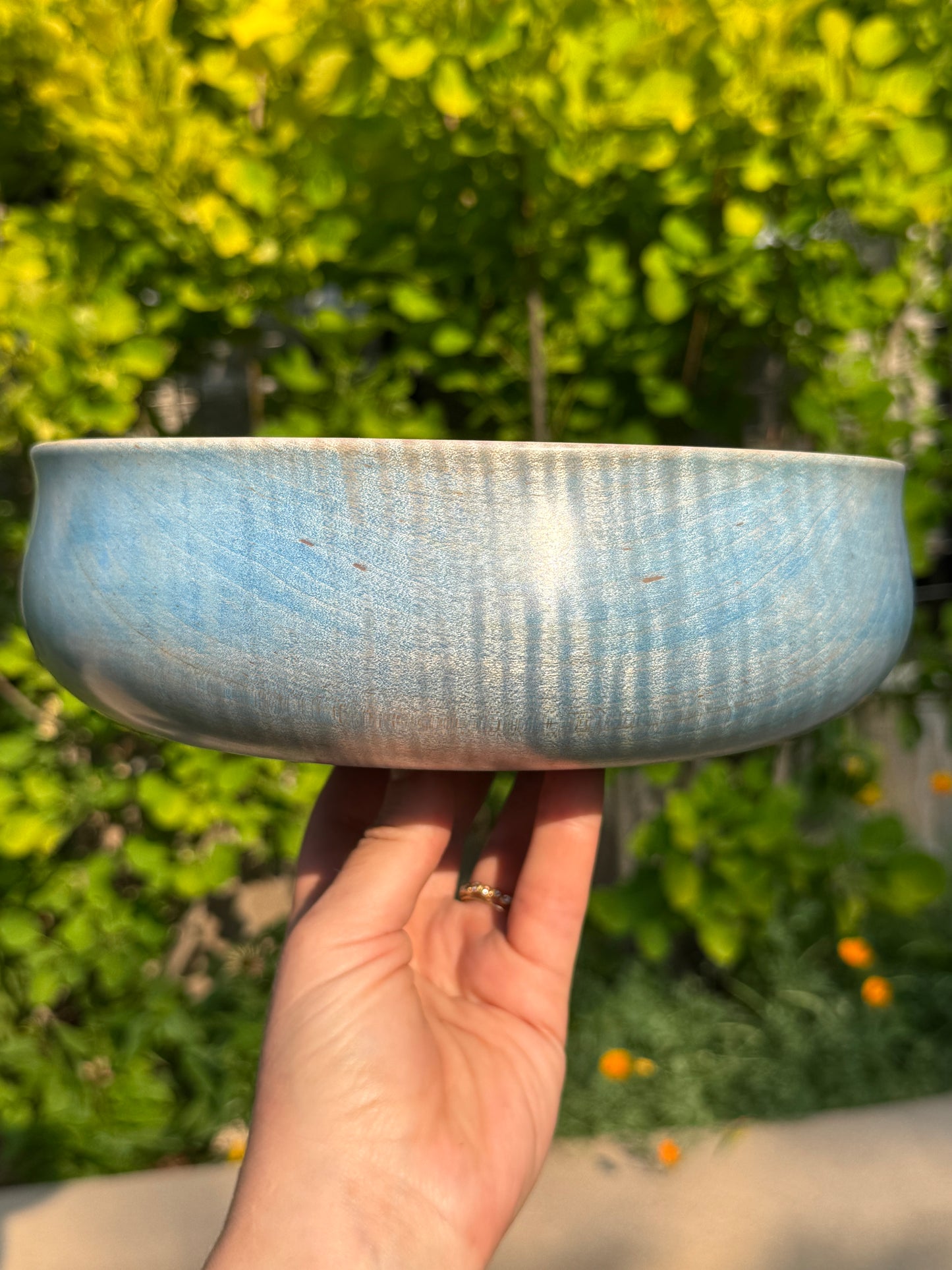 #120 - Blue Curly Maple Bowl