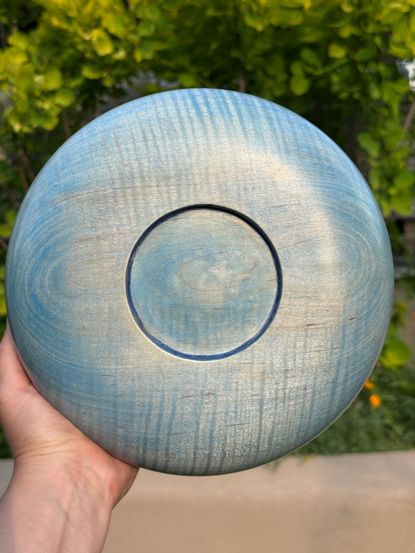 #120 - Blue Curly Maple Bowl