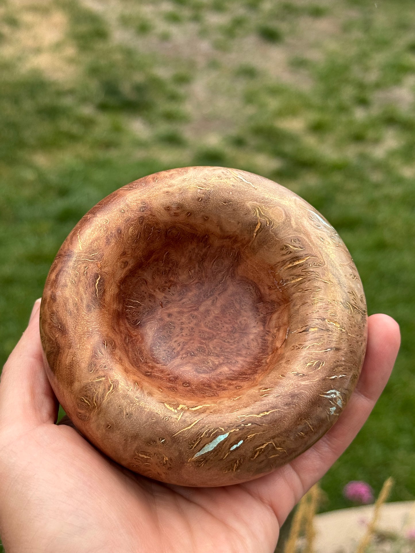 #136 - Coolibah Burl Bowl with Turquoise Inlay