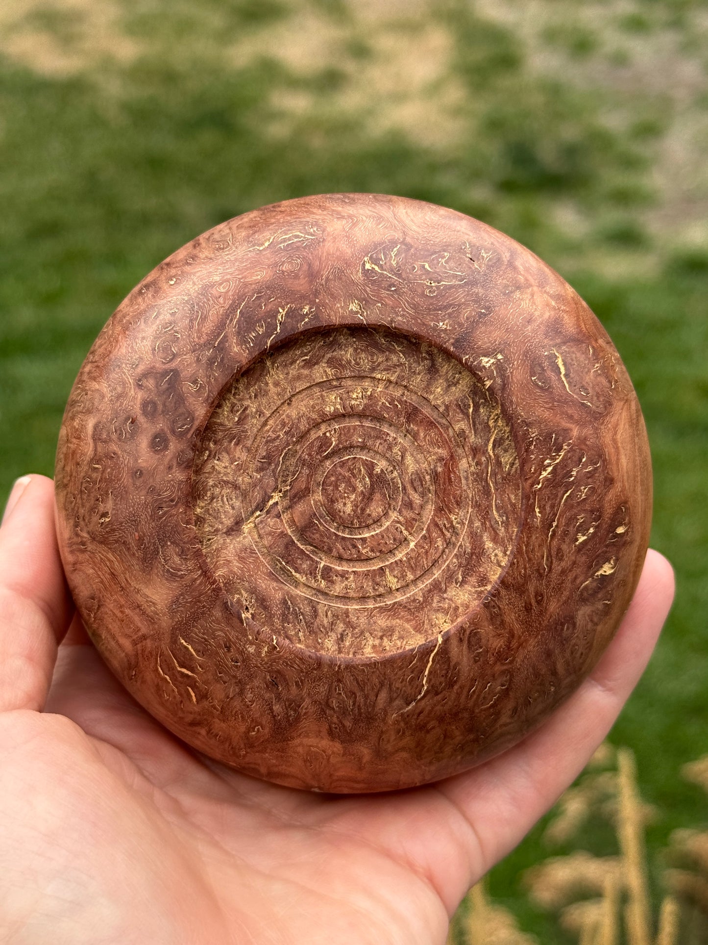 #136 - Coolibah Burl Bowl with Turquoise Inlay