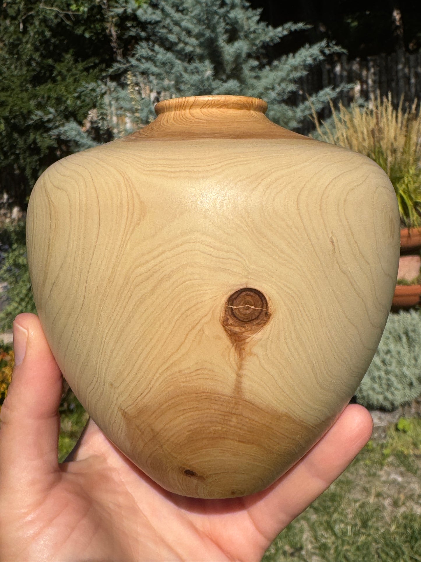 #161 - Heart-Shaped Alligator Juniper Vessel with Fox Turquoise River Inlay