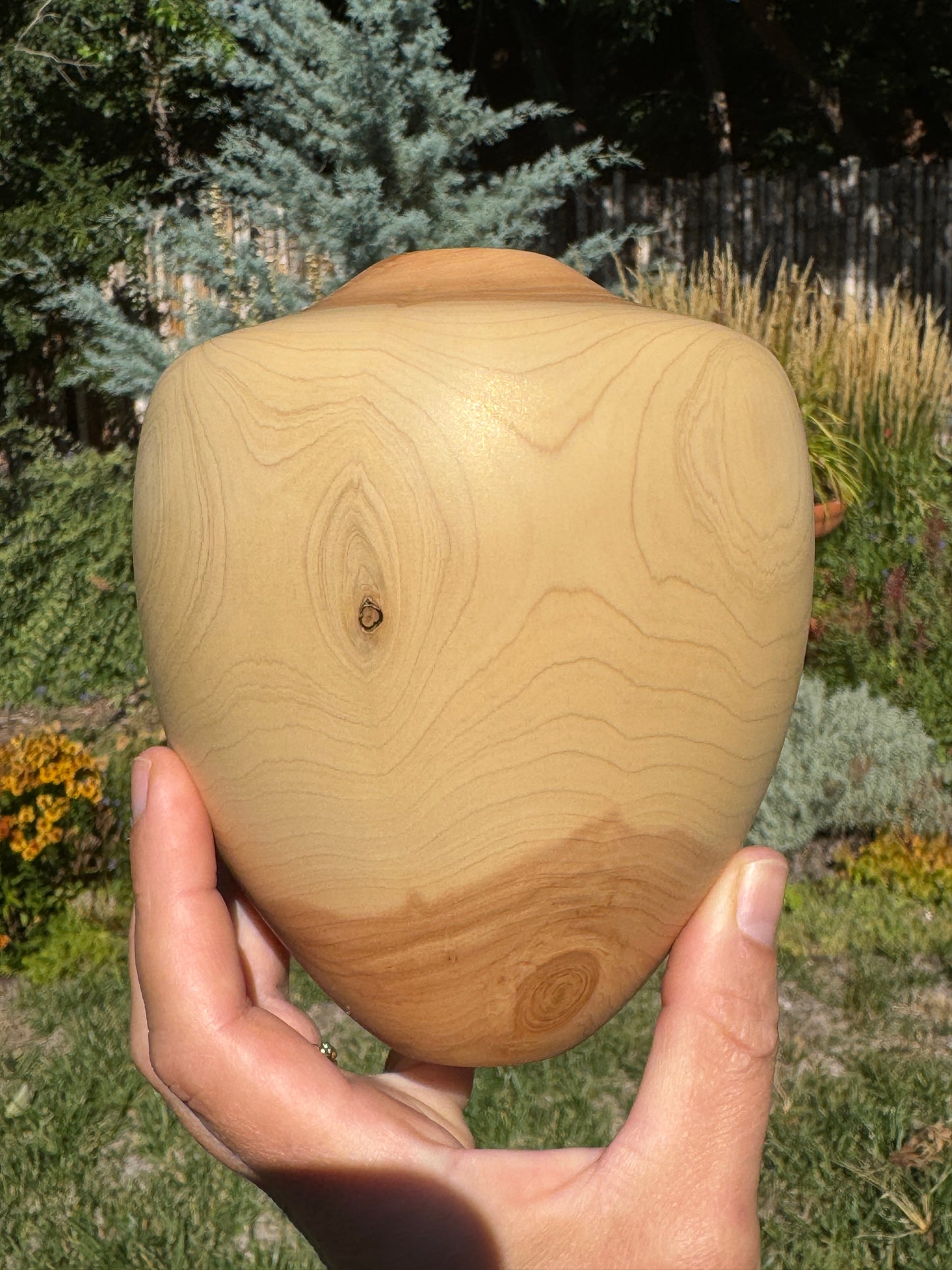 #160 - Alligator Juniper Vessel with Fox Turquoise Inlay