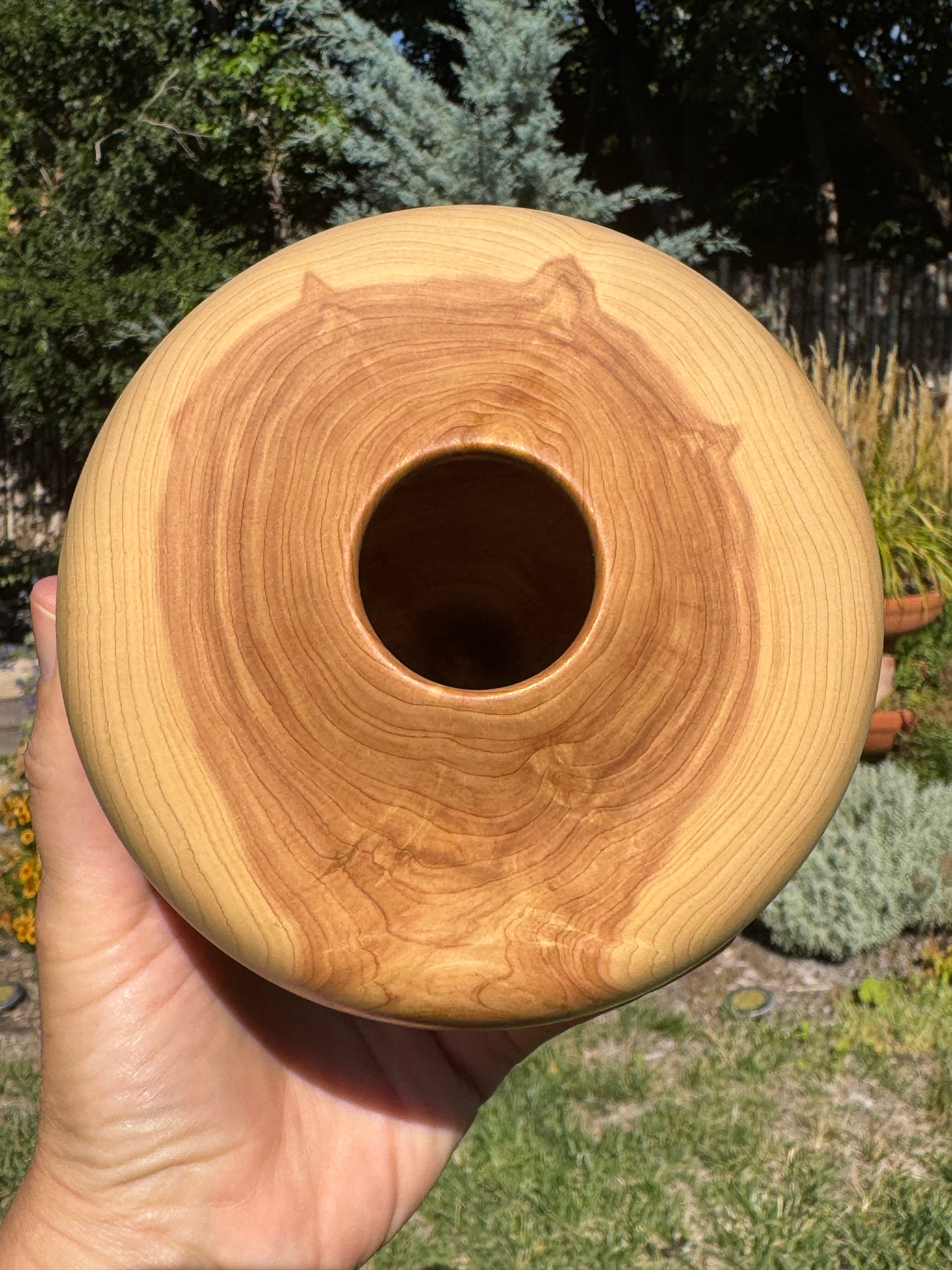 #160 - Alligator Juniper Vessel with Fox Turquoise Inlay