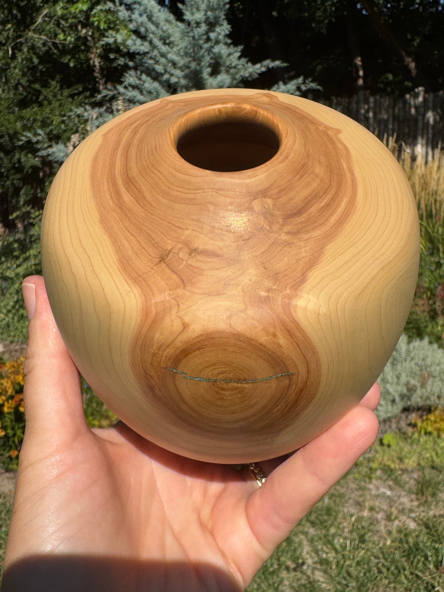 #160 - Alligator Juniper Vessel with Fox Turquoise Inlay