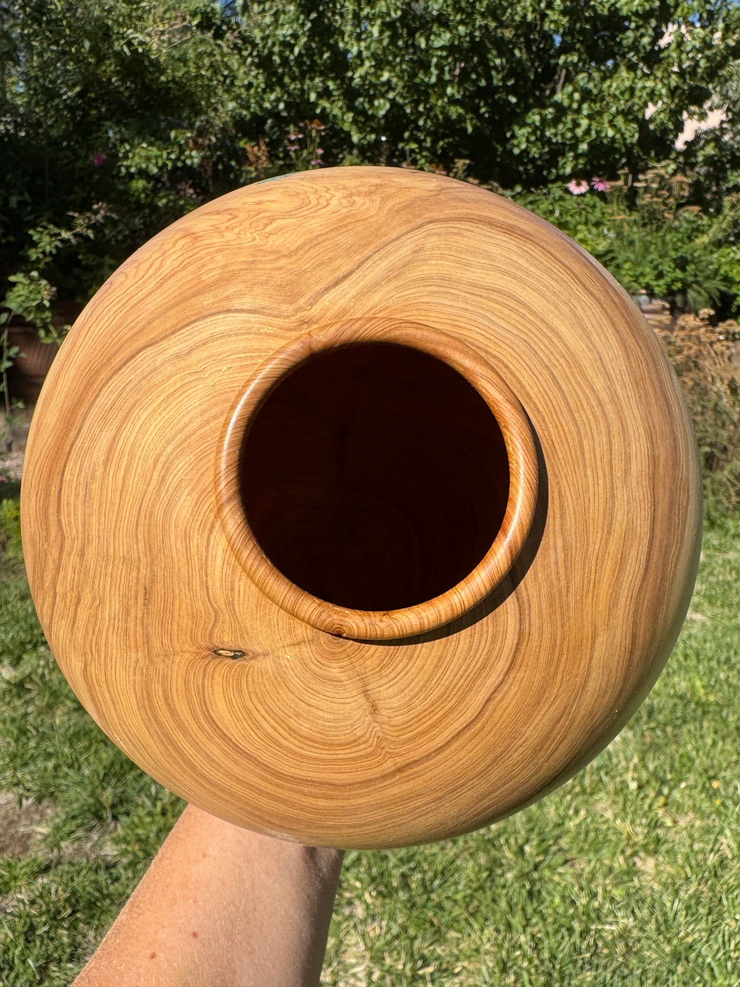 #165 - Alligator Juniper Vessel with Fox Turquoise Inlay