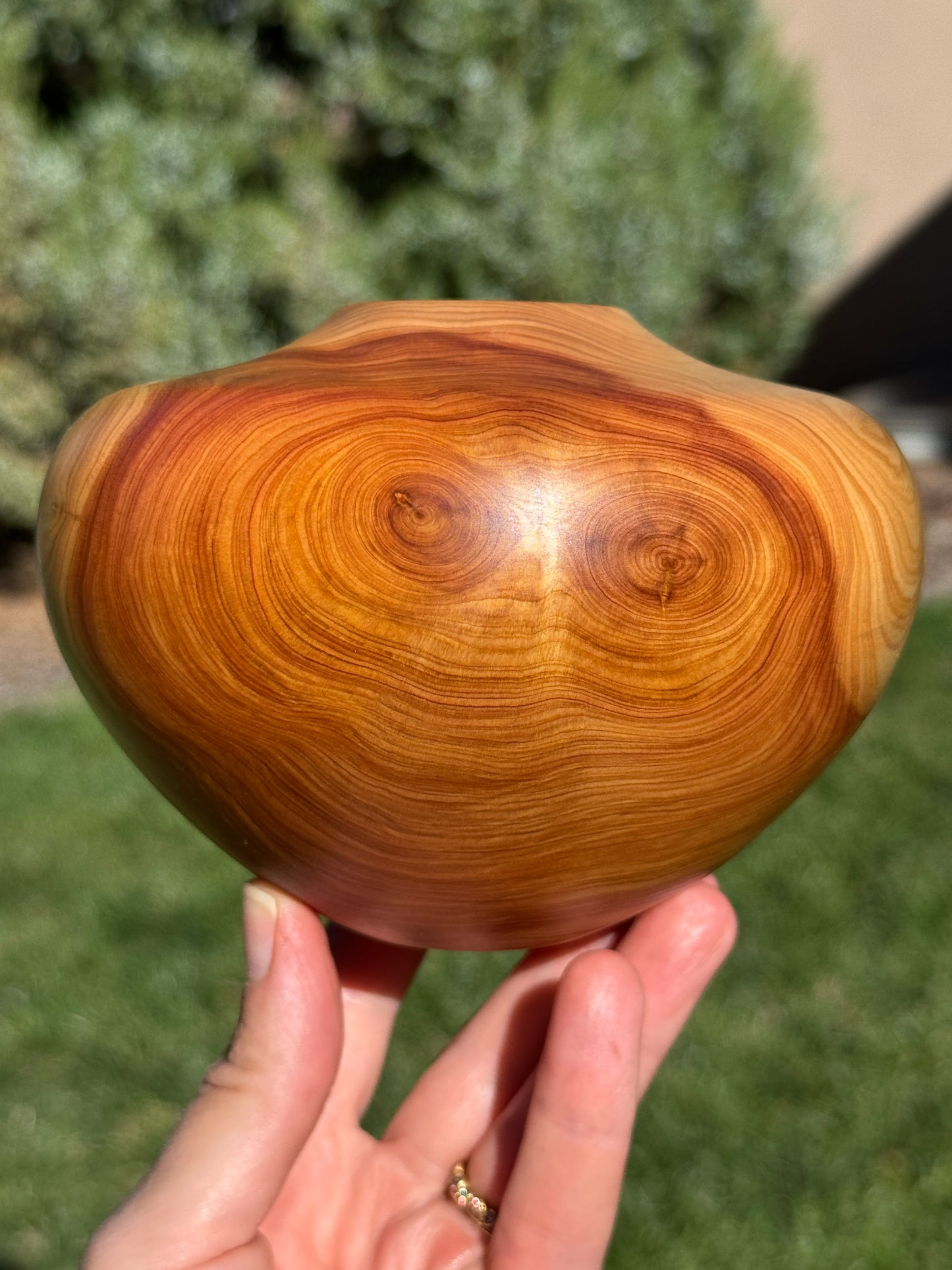 #167 - Alligator Juniper Vessel