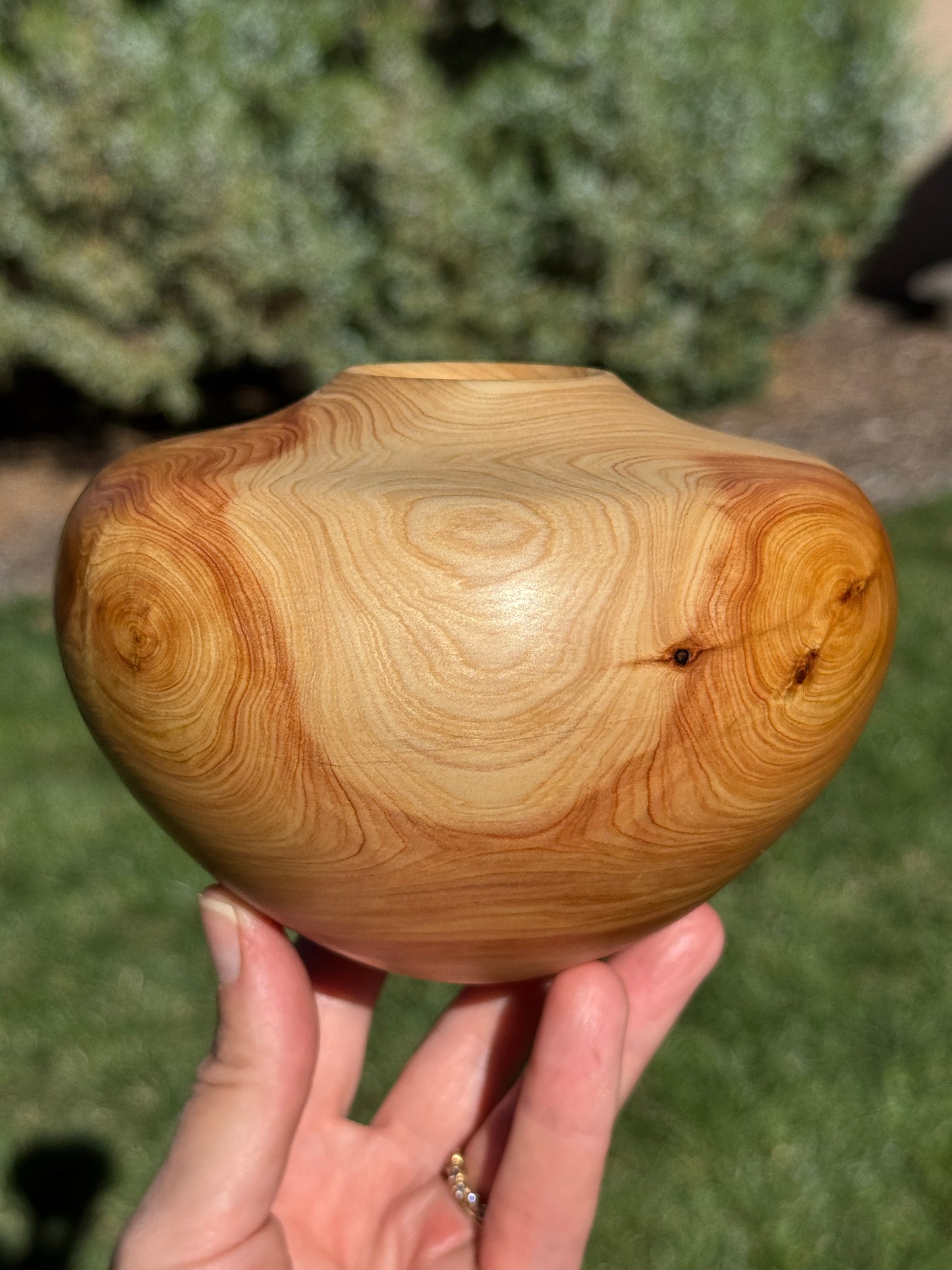 #167 - Alligator Juniper Vessel