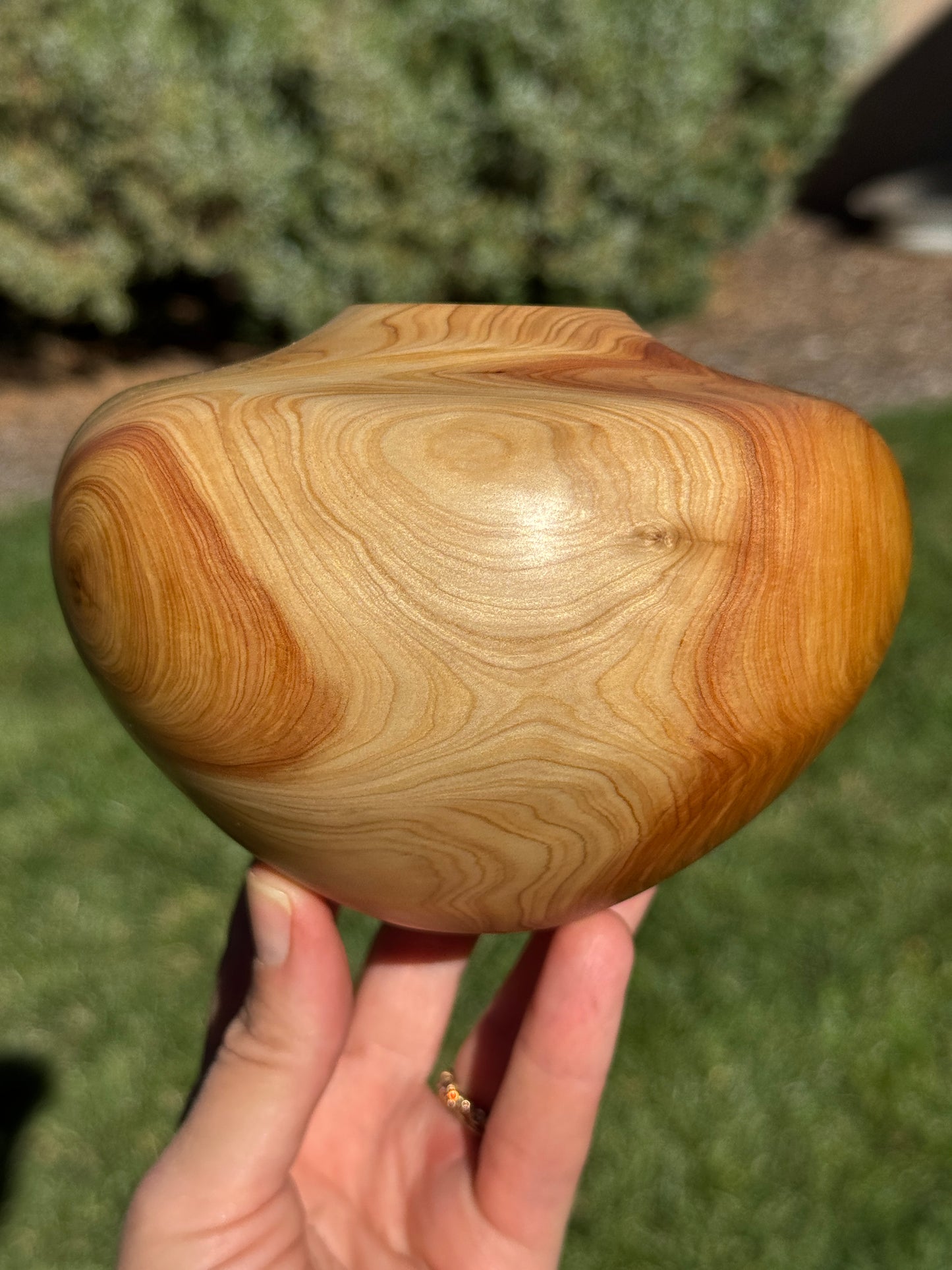 #167 - Alligator Juniper Vessel