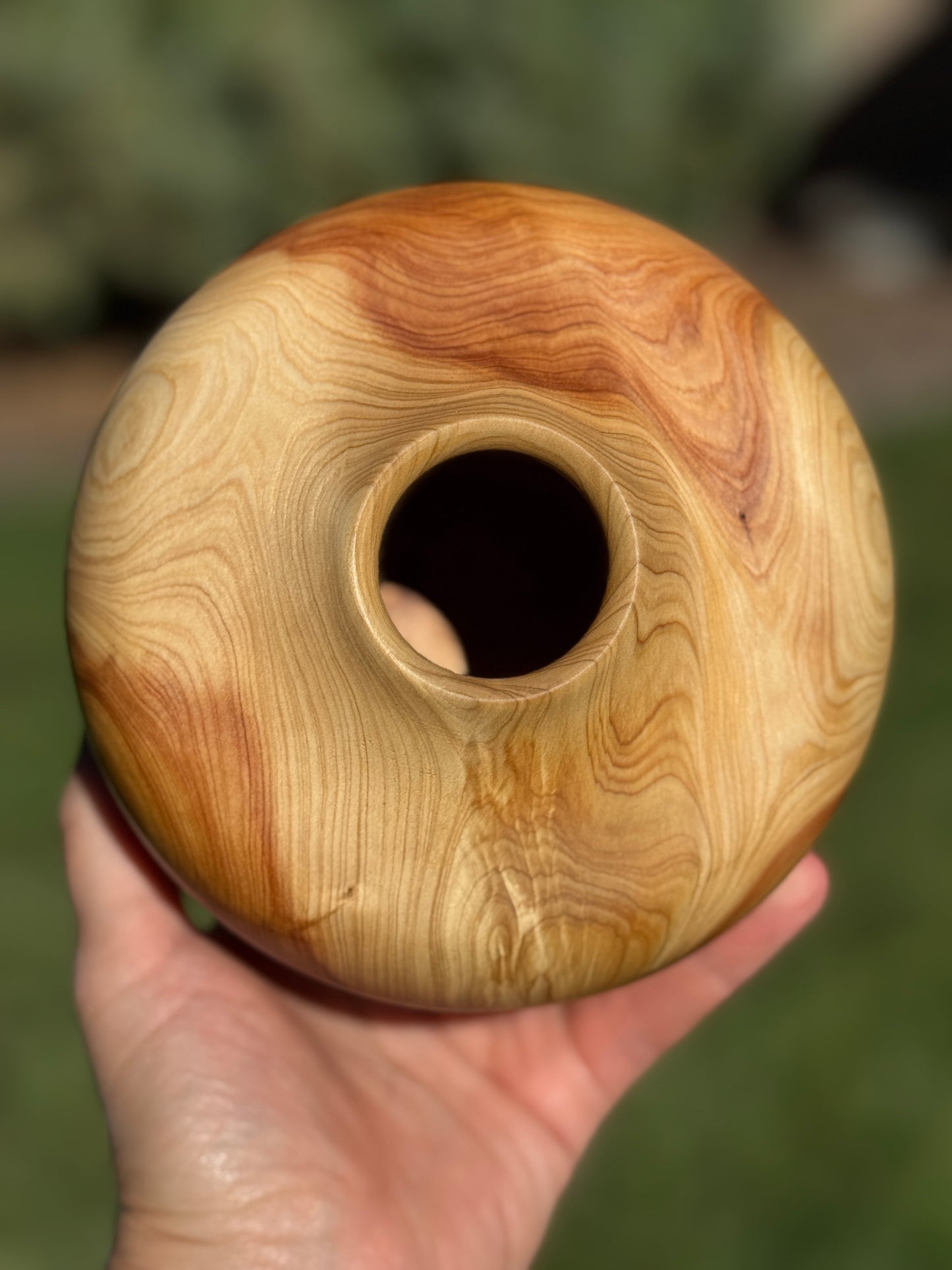 #167 - Alligator Juniper Vessel