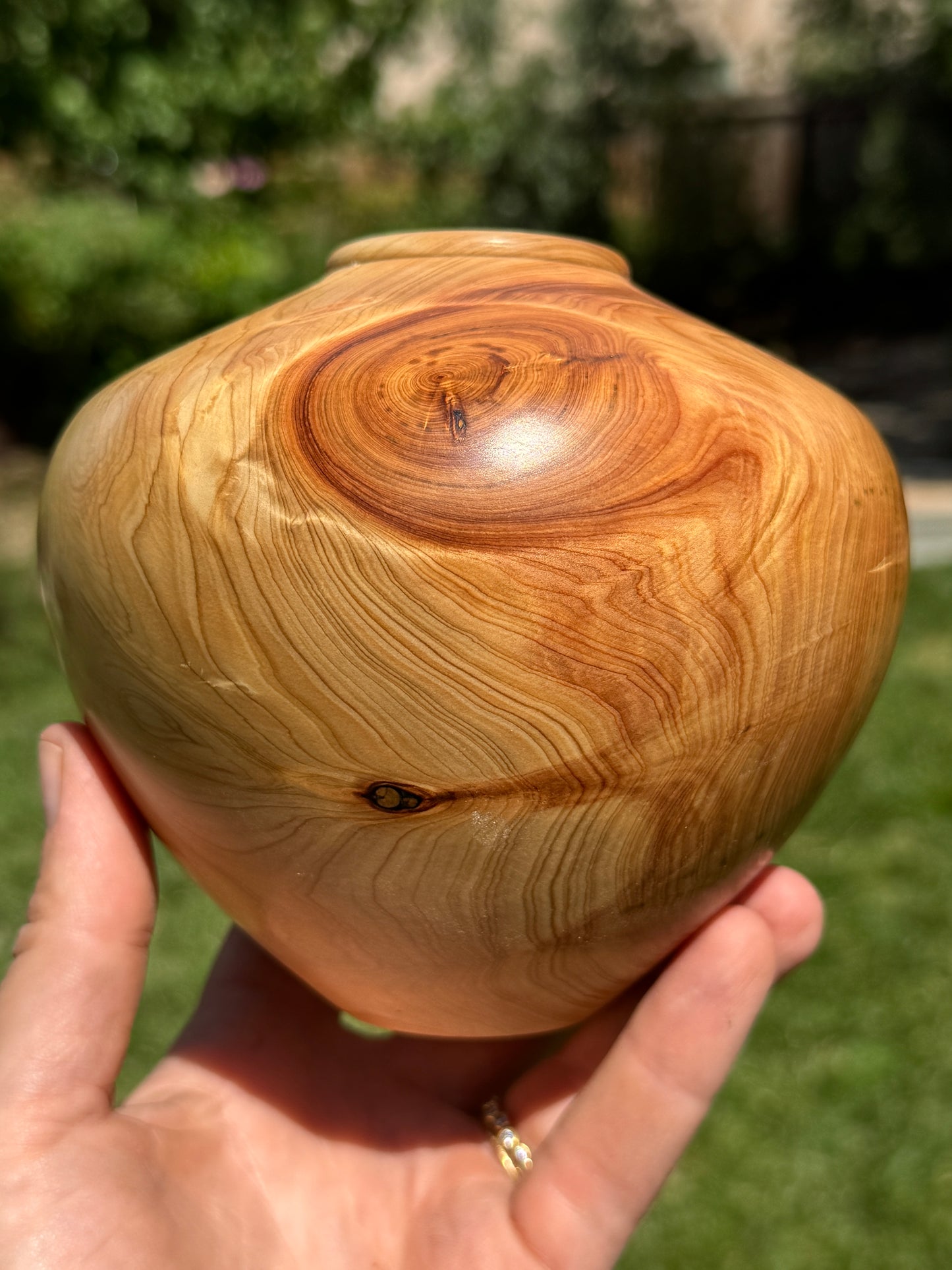 #169 - Alligator Juniper Vessel with Fox Turquoise Inlay
