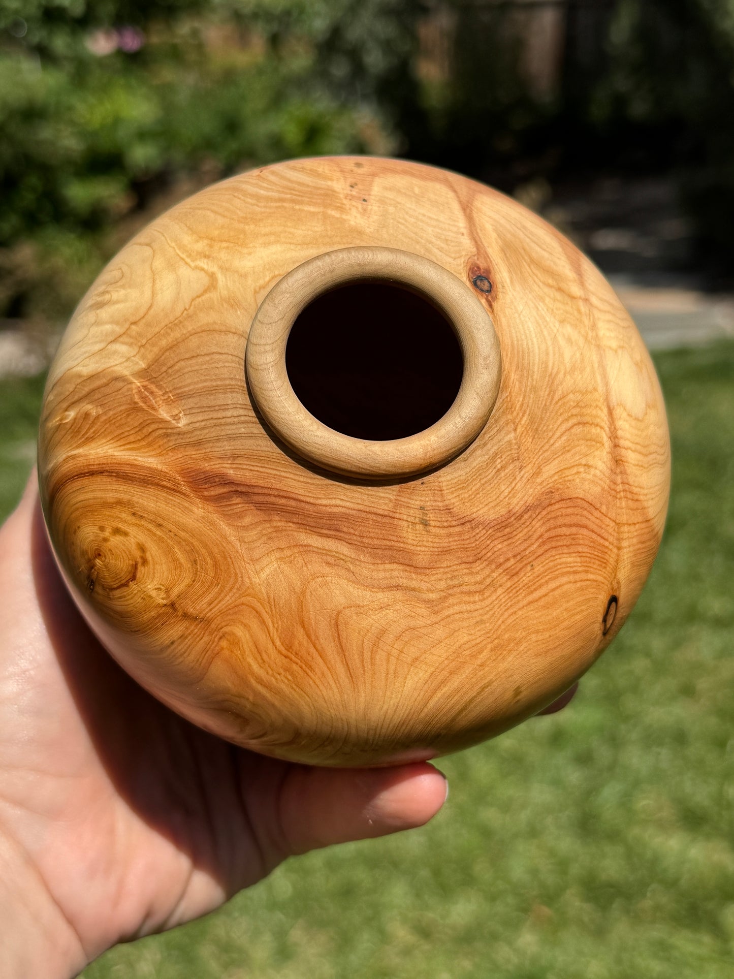 #169 - Alligator Juniper Vessel with Fox Turquoise Inlay