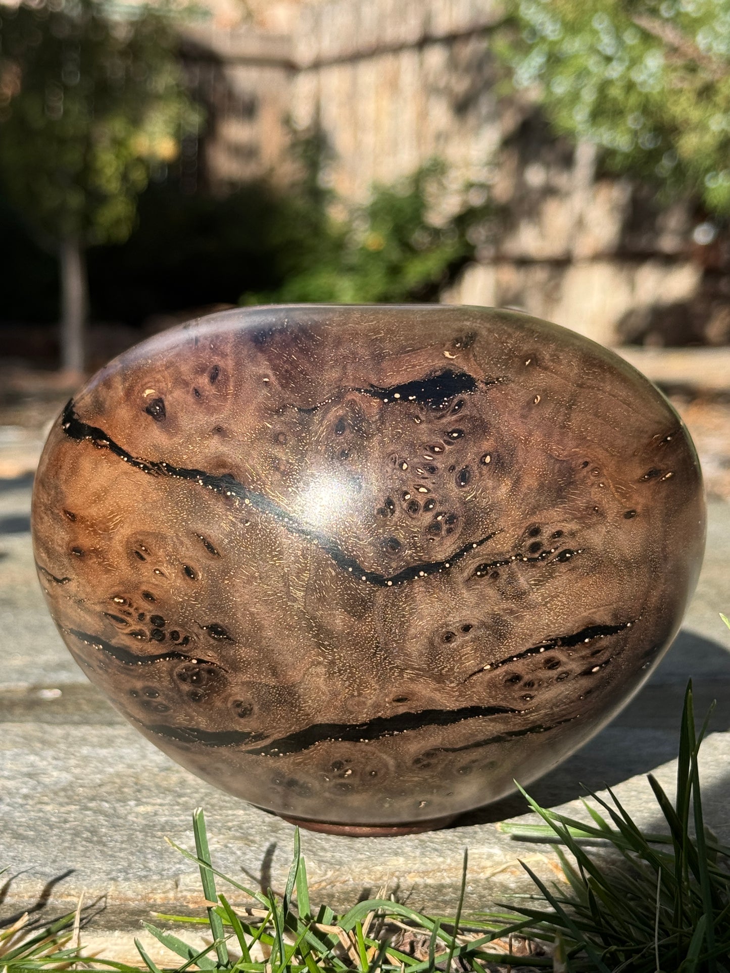 #170 - Claro Walnut Burl Vessel with Black Inlay
