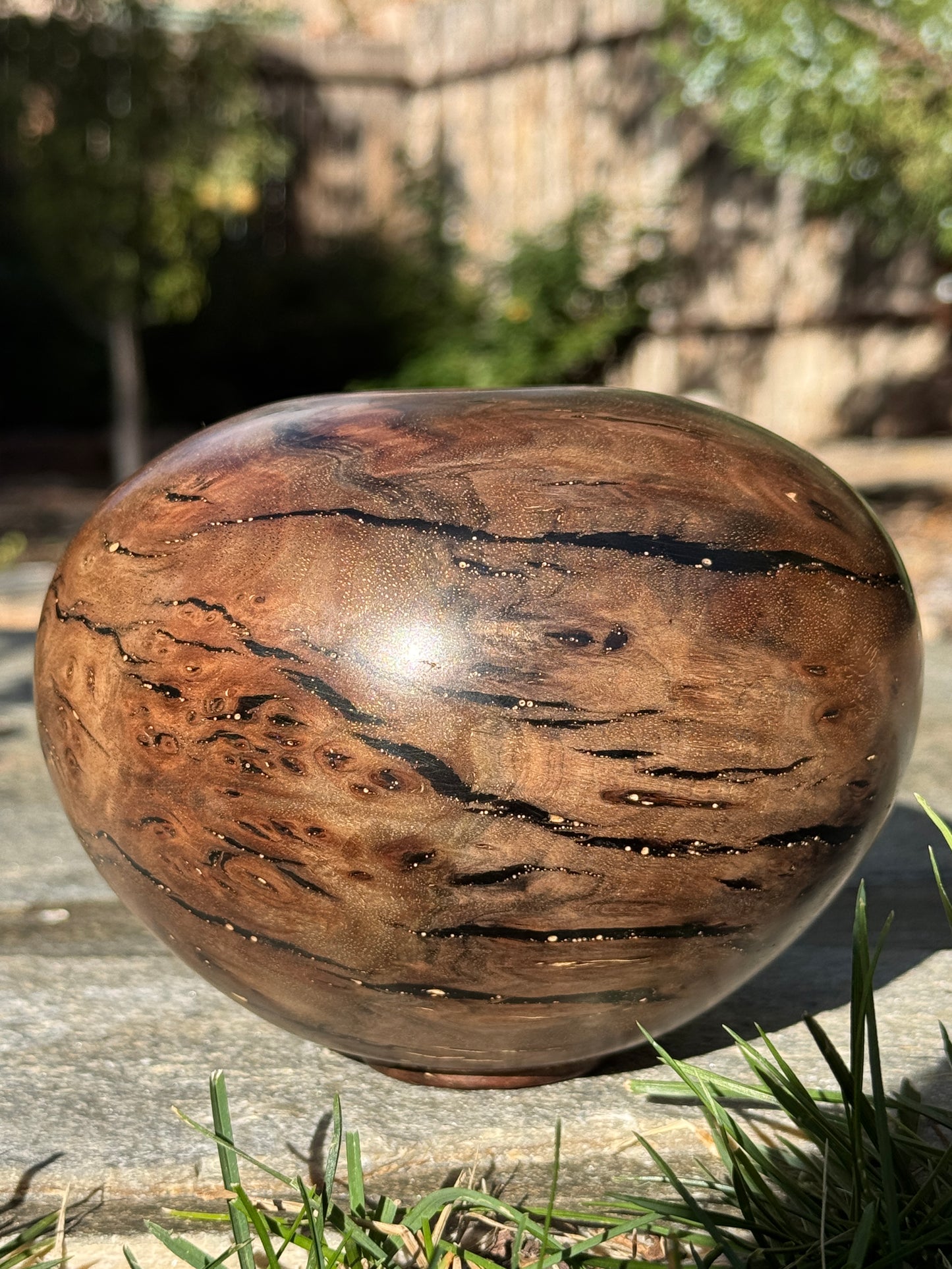 #170 - Claro Walnut Burl Vessel with Black Inlay