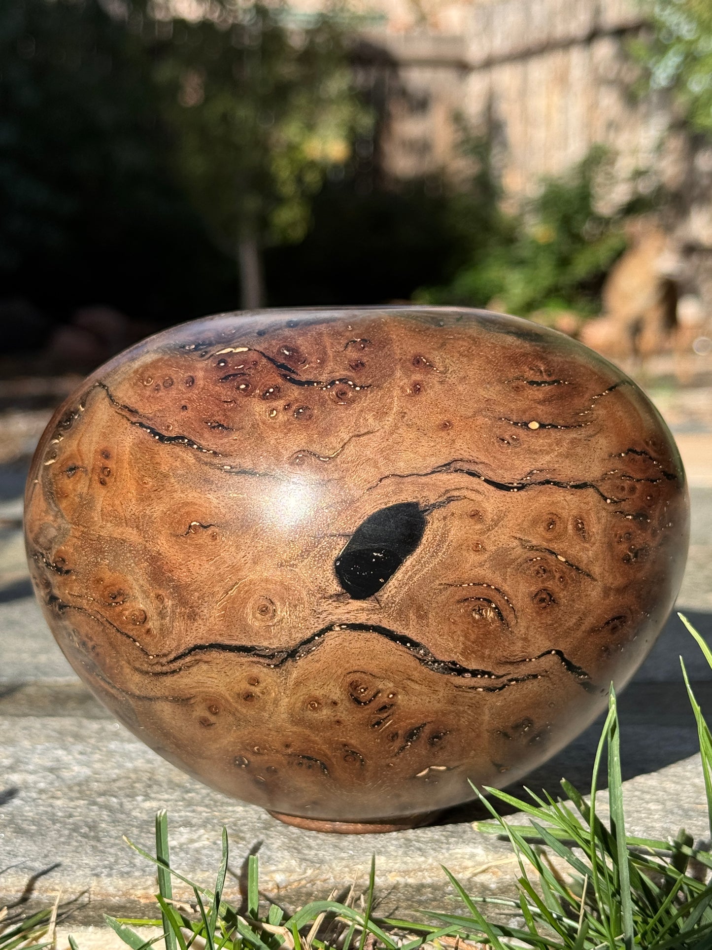 #170 - Claro Walnut Burl Vessel with Black Inlay