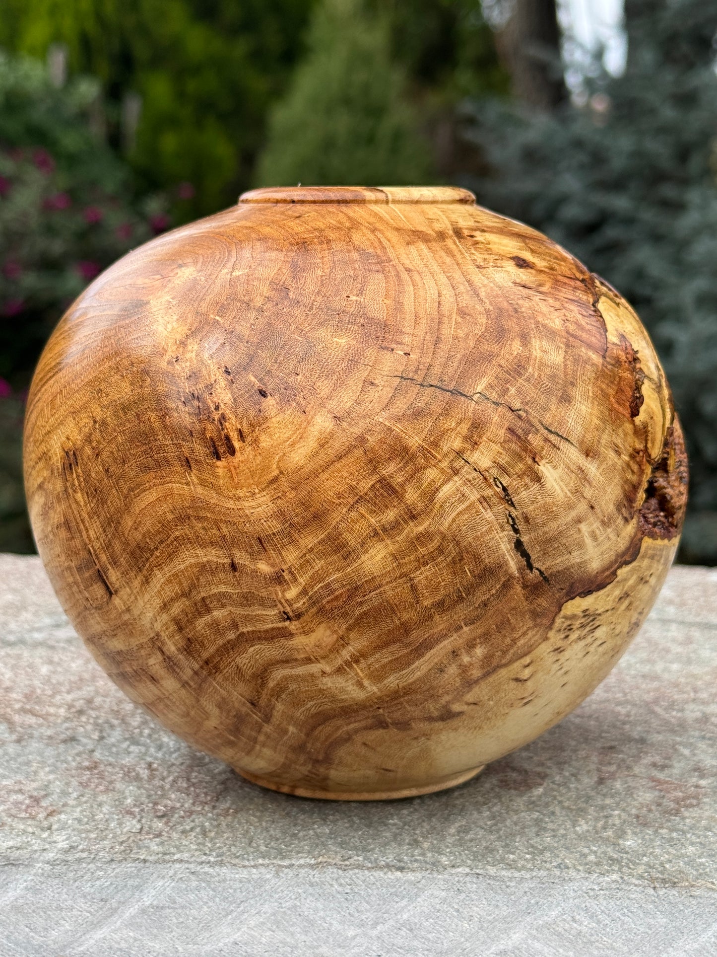 #172 - Honey Locust Burl Vessel
