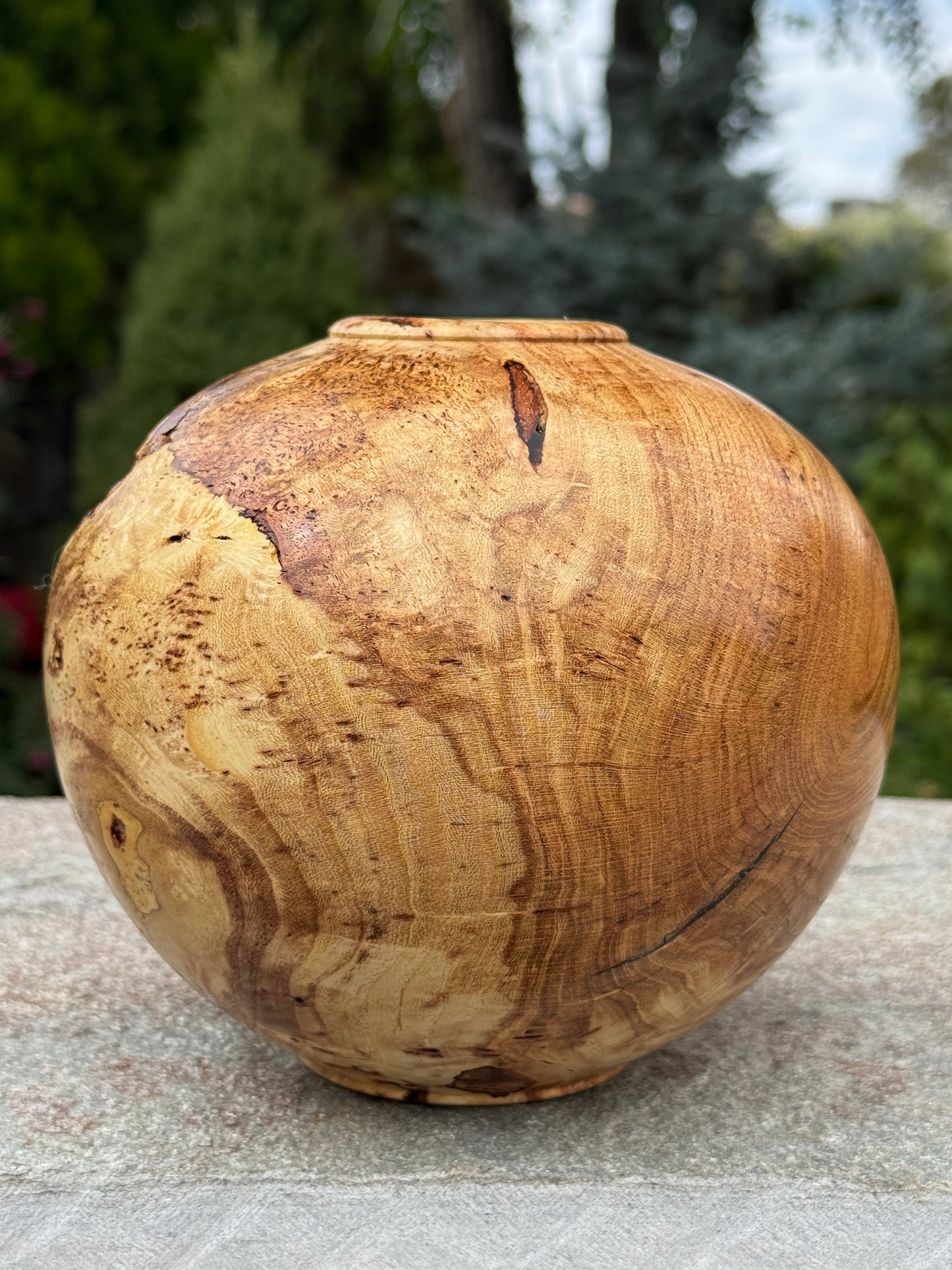 #172 - Honey Locust Burl Vessel