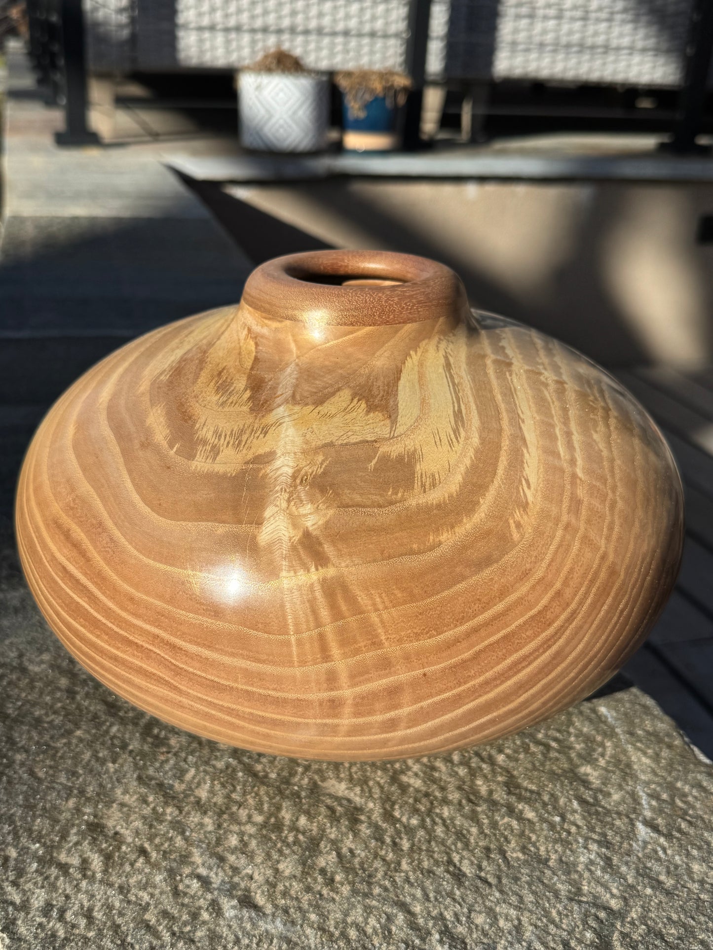 #80 Ash Vessel with Sapele Collar and Base