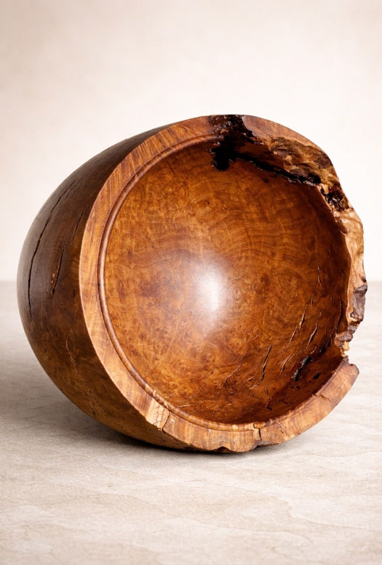 #192 - XL Madrone Burl Live Edge Beaded Bowl