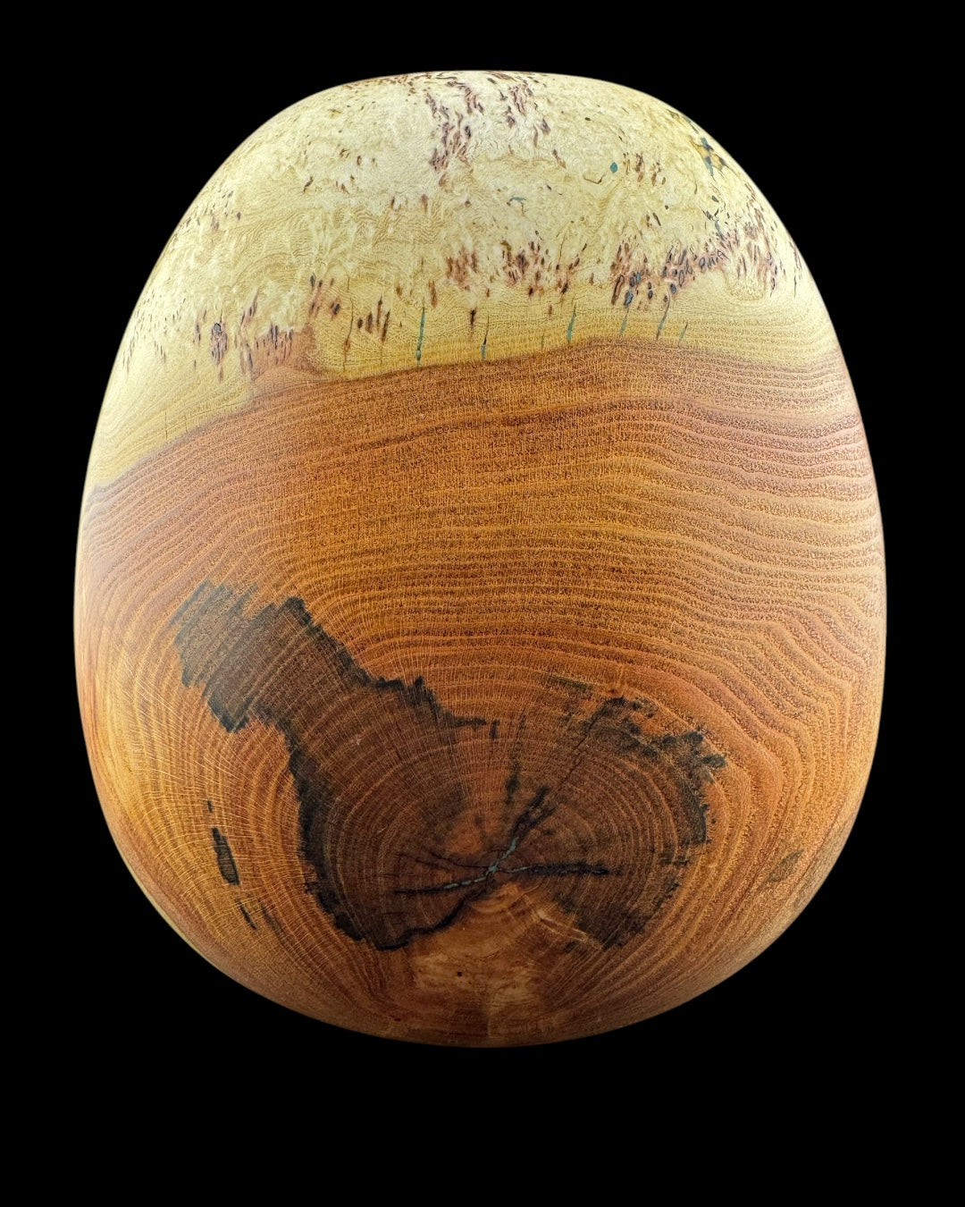 #72 Honey Locust Burl Vessel with Kingman Turquoise Inlay