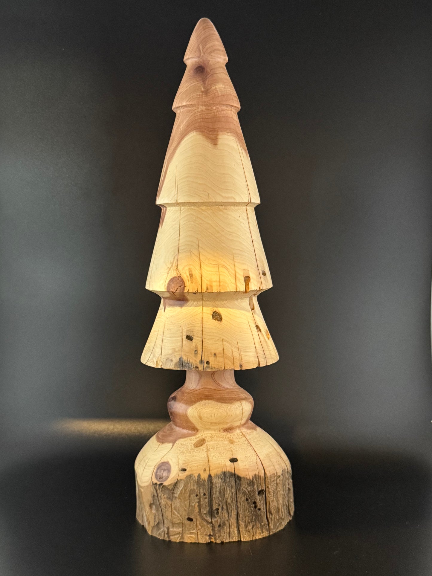 #16 12" Tall Rustic Cedar Tree