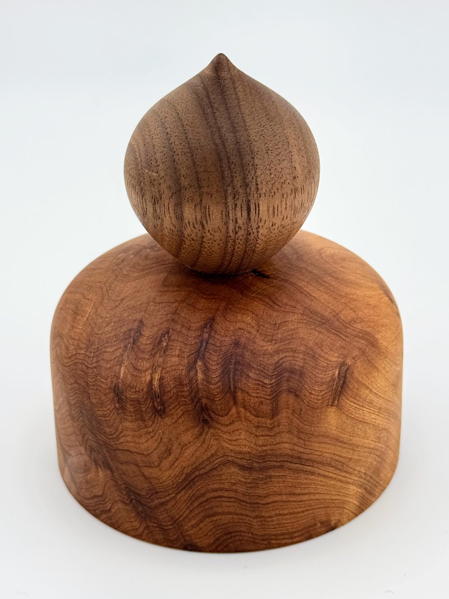#7 Thuya Burl and Walnut Box