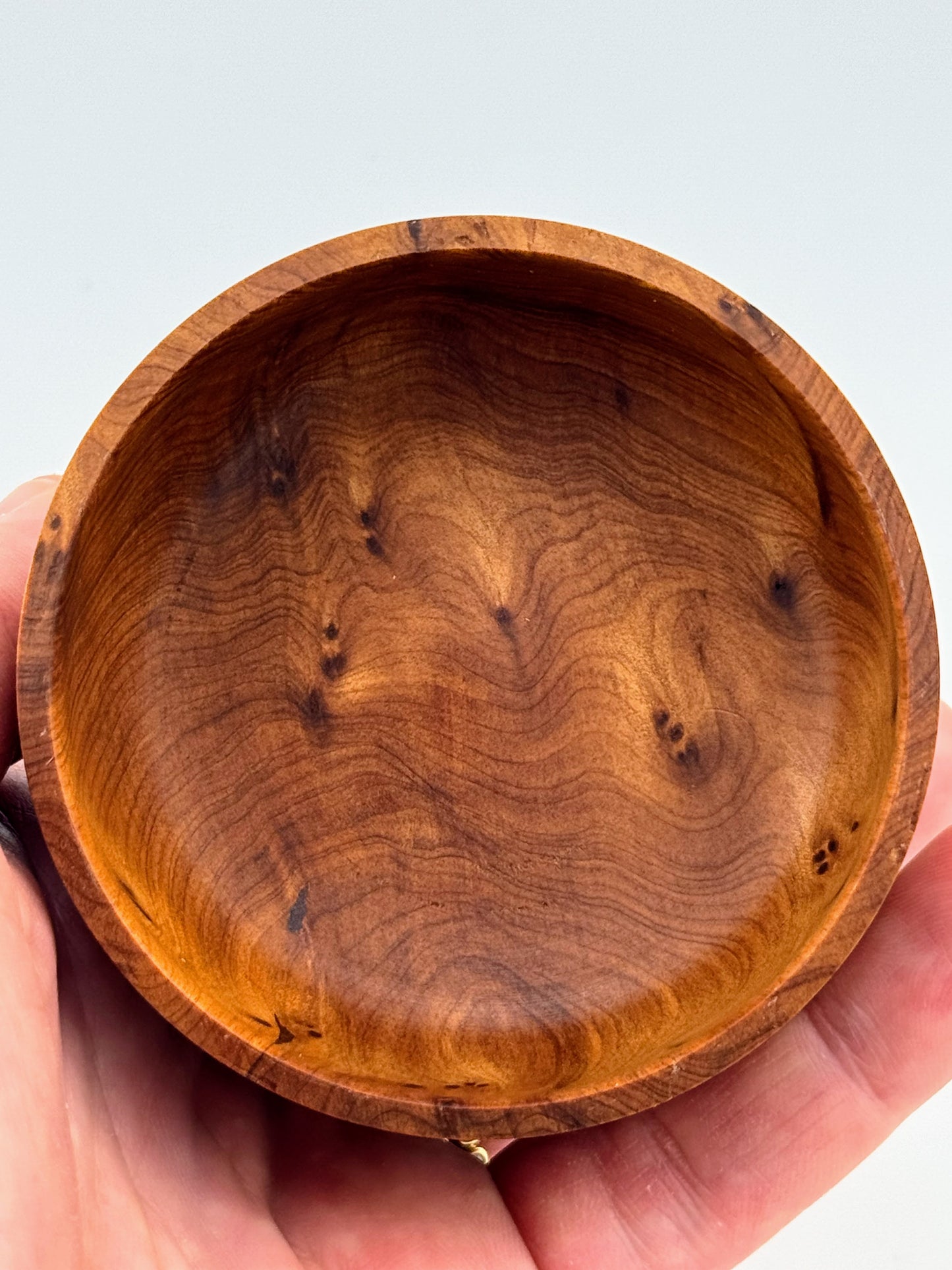 #7 Thuya Burl and Walnut Box
