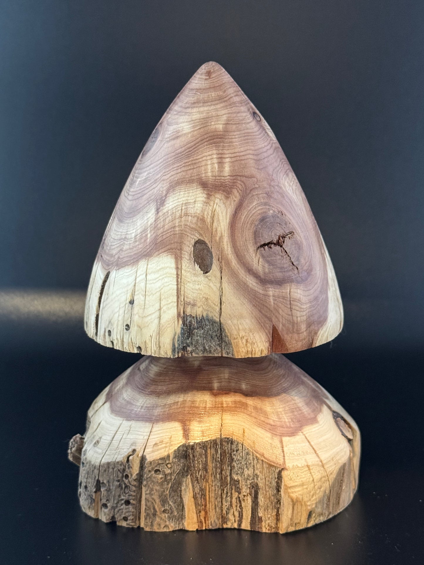 5" Rustic Cedar Christmas Tree