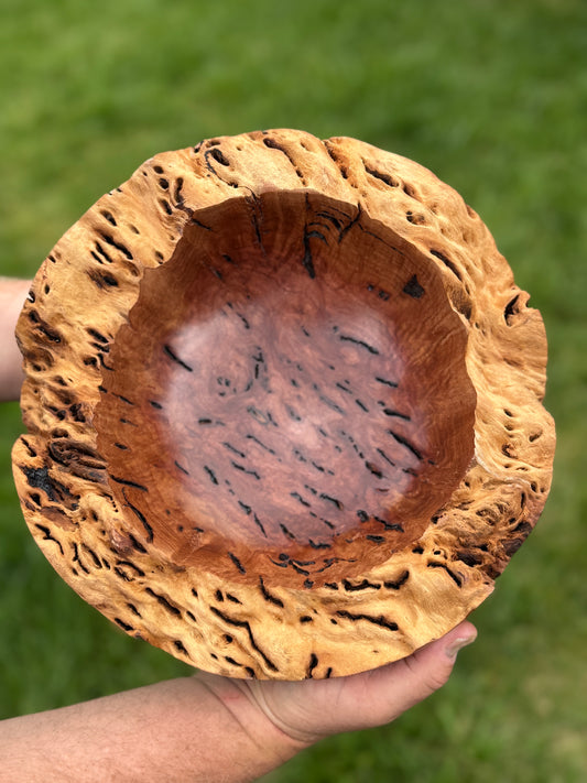 #119 - Salmon Gum Burl Bowl