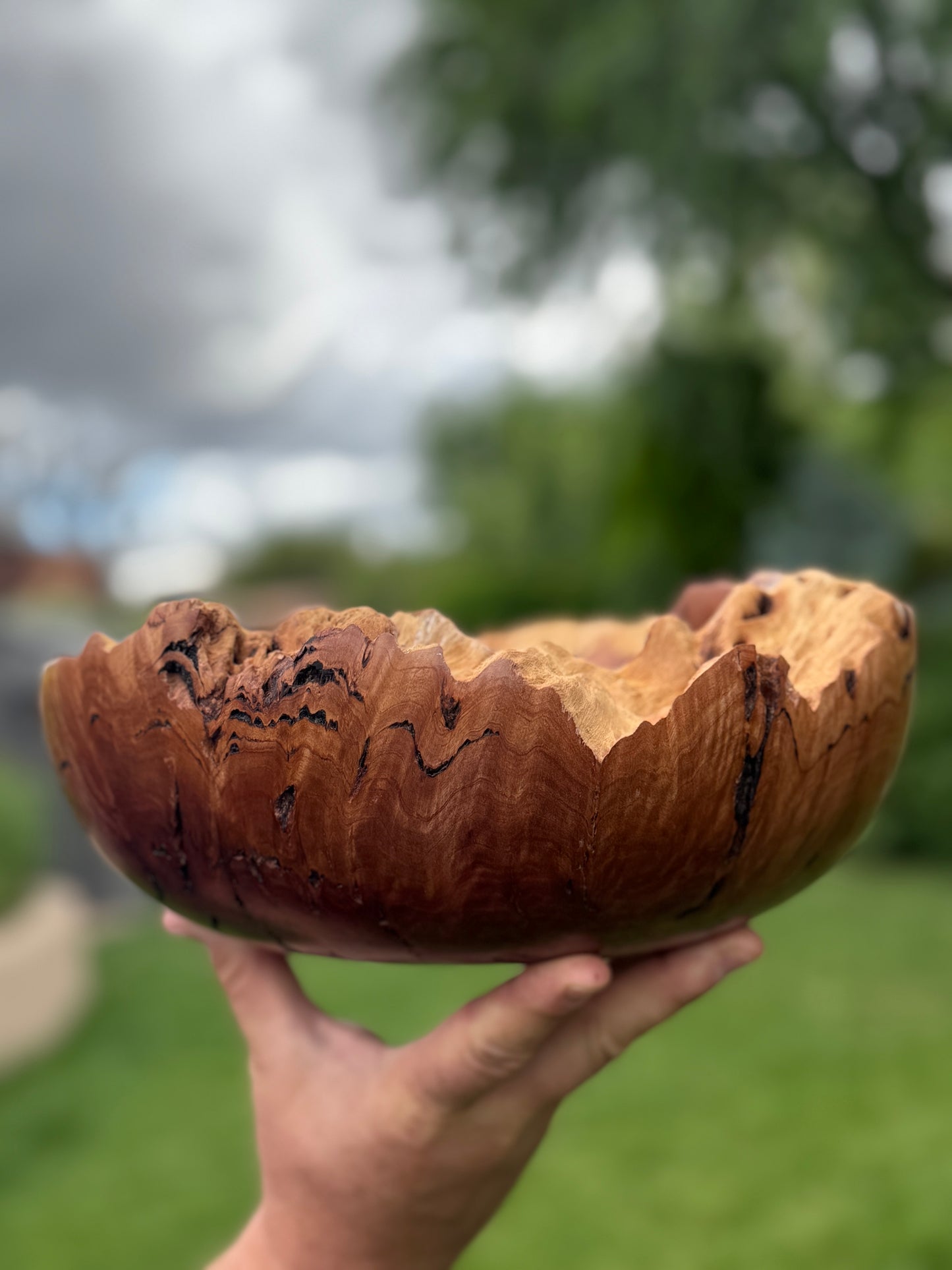 #119 - Salmon Gum Burl Bowl