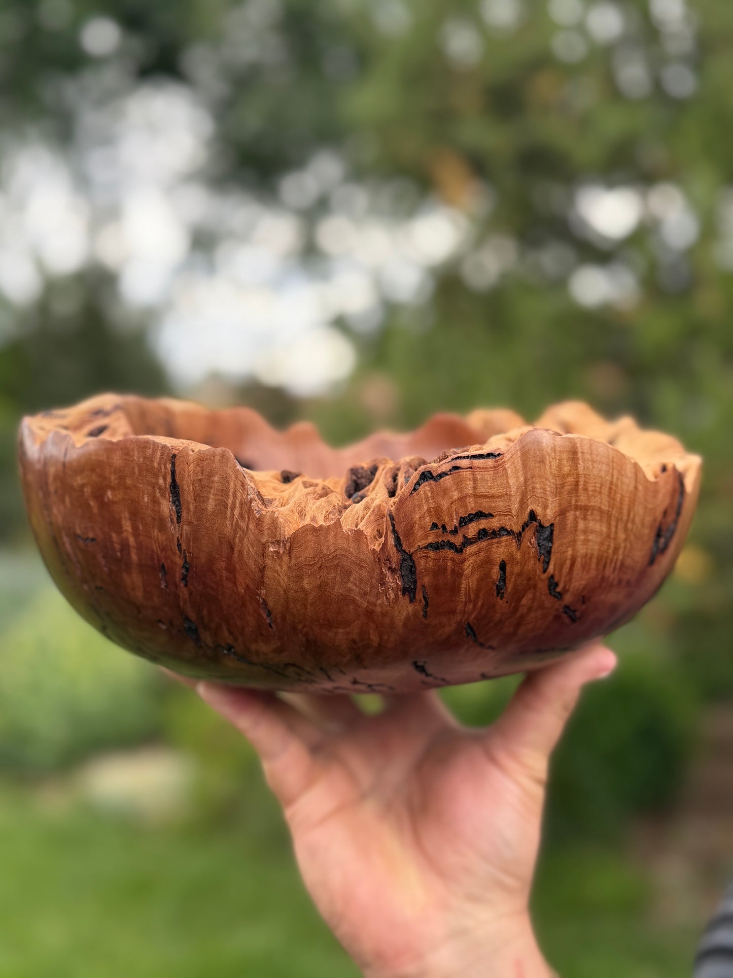 #119 - Salmon Gum Burl Bowl