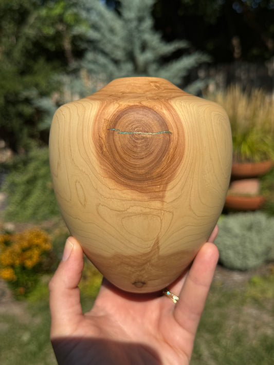 #160 - Alligator Juniper Vessel with Fox Turquoise Inlay