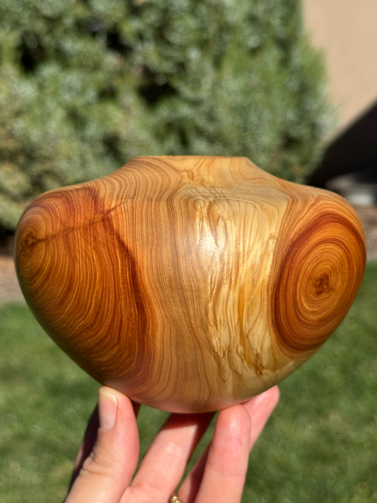 #167 - Alligator Juniper Vessel