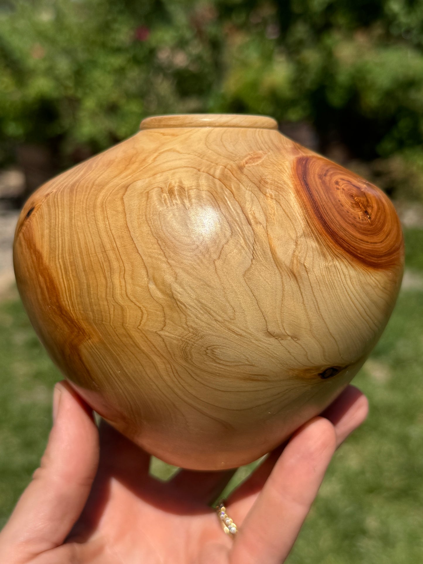 #169 - Alligator Juniper Vessel with Fox Turquoise Inlay