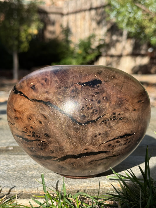 #170 - Claro Walnut Burl Vessel with Black Inlay