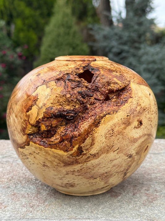 #172 - Honey Locust Burl Vessel